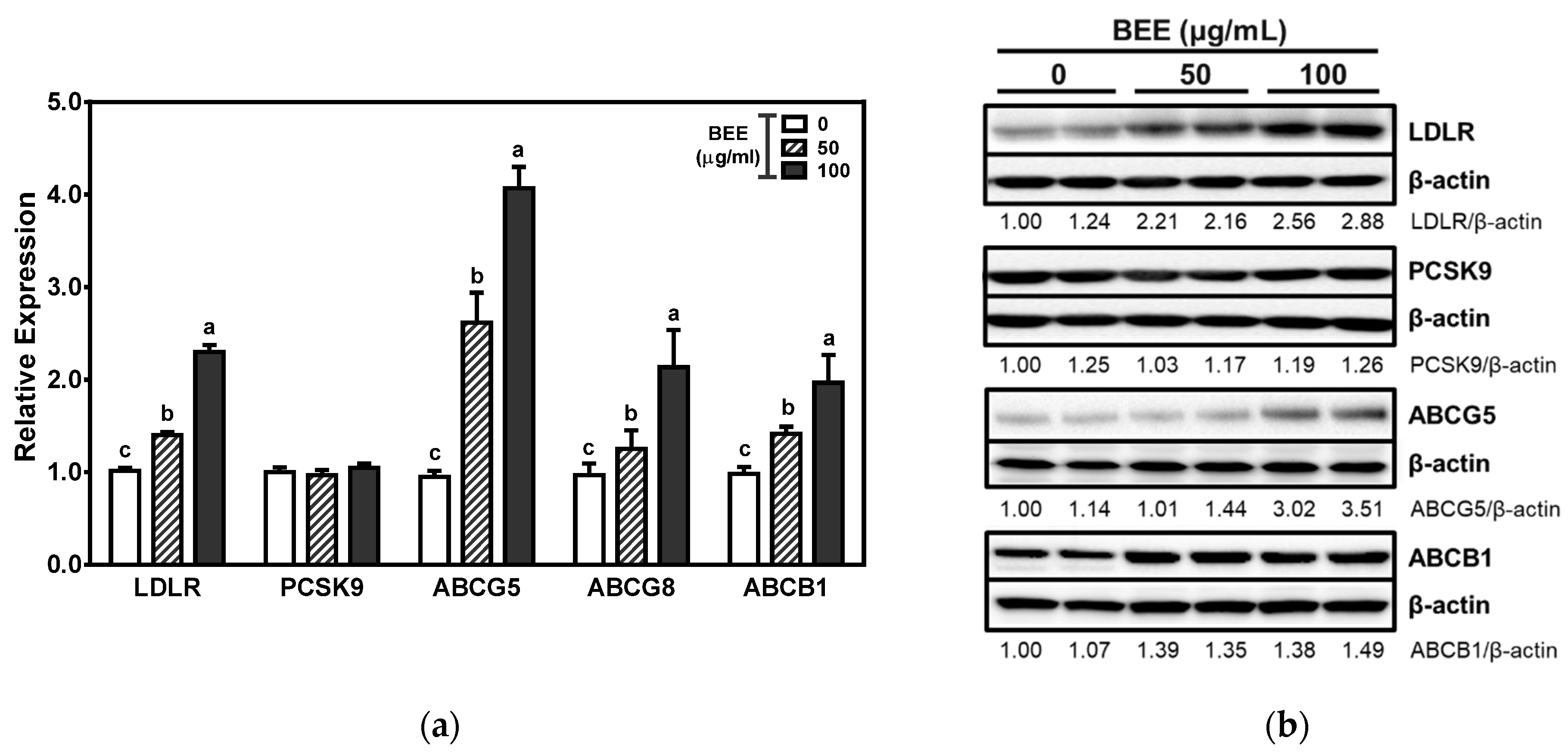Applsci 11 02790 g004 Applsci 11 02790 g004