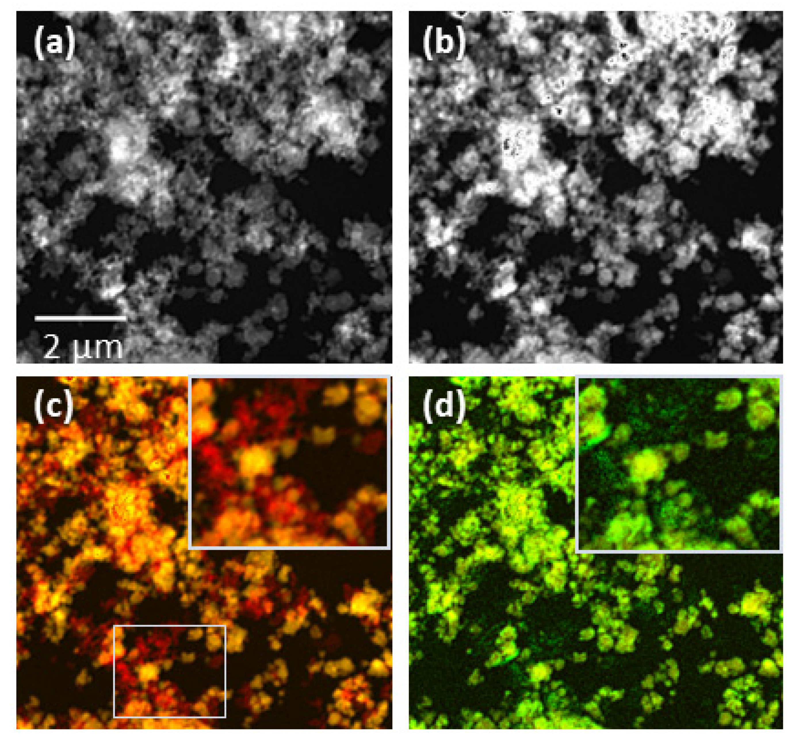 Applsci 11 02791 g003