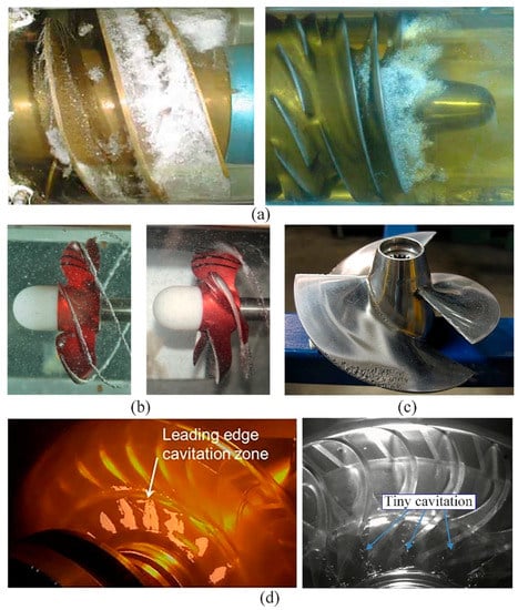 Applied Sciences | Free Full-Text | 3D Cavitation Shedding Dynamics ...