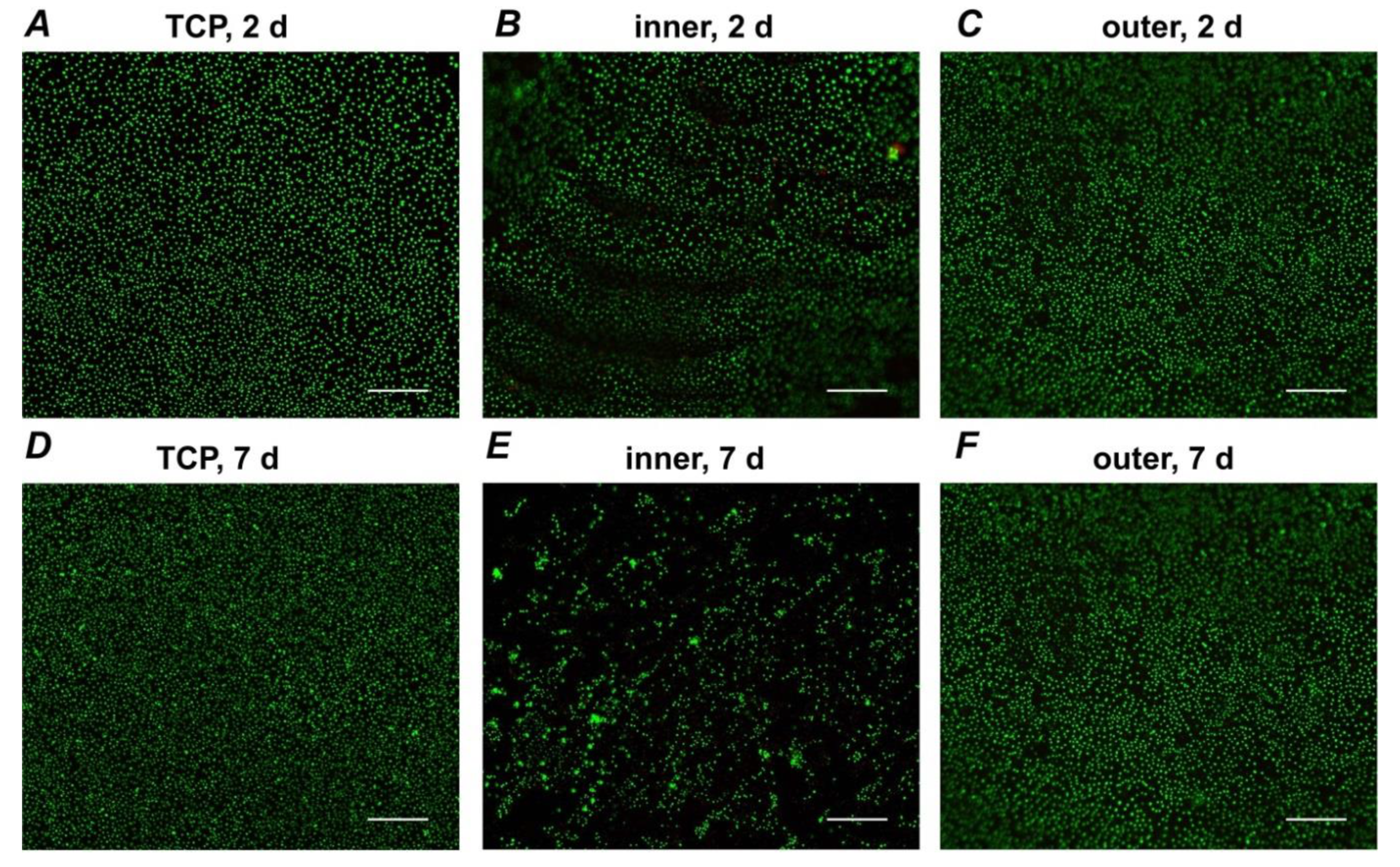 Applsci 11 02826 g004