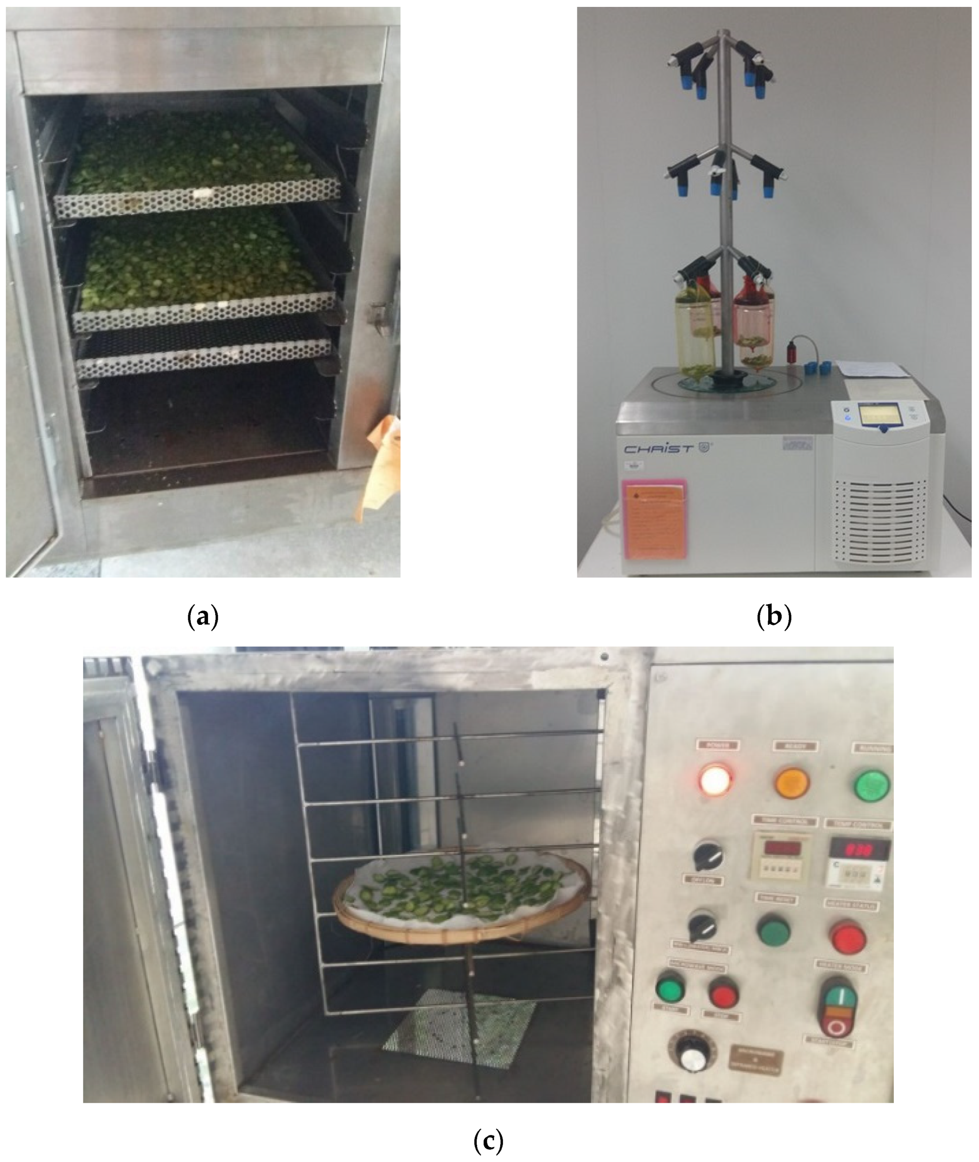 Microwave Fruit Drying Equipment/Drying Fruit Chips in Microwave