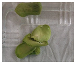 Applsci 11 02918 i001