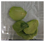 Applsci 11 02918 i003