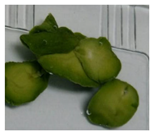 Applsci 11 02918 i005