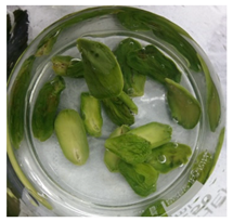 Applsci 11 02918 i011