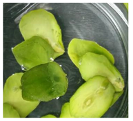 Applsci 11 02918 i017