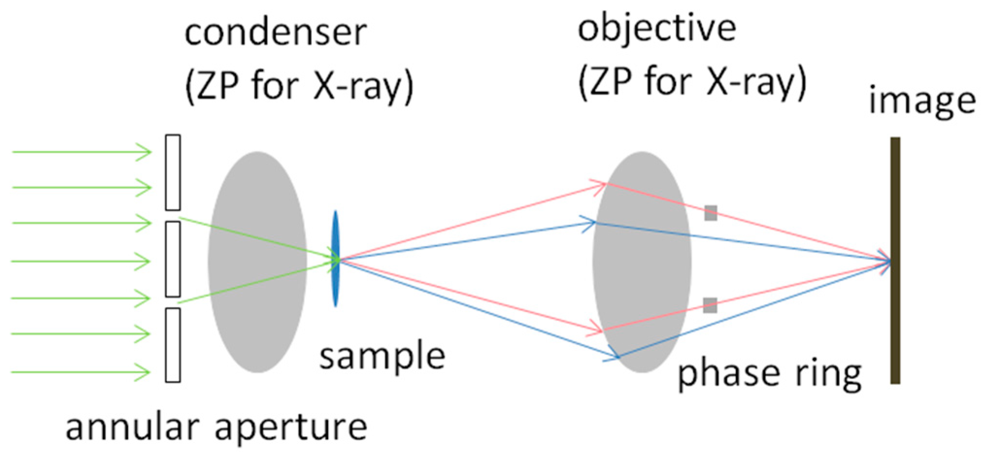 Applied Sciences | Free Full-Text | Principles of Different X-ray  Phase-Contrast Imaging: A Review | HTML