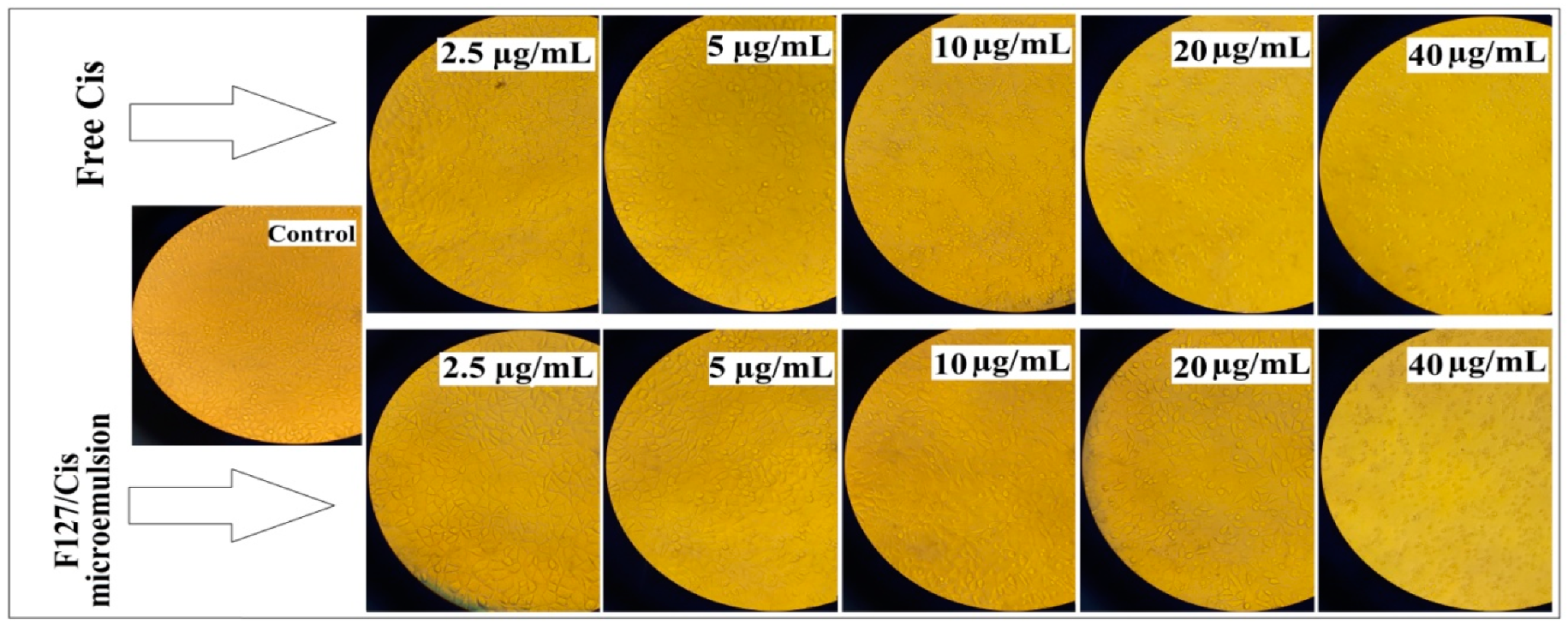 Applsci 11 03006 g003 Applsci 11 03006 g003