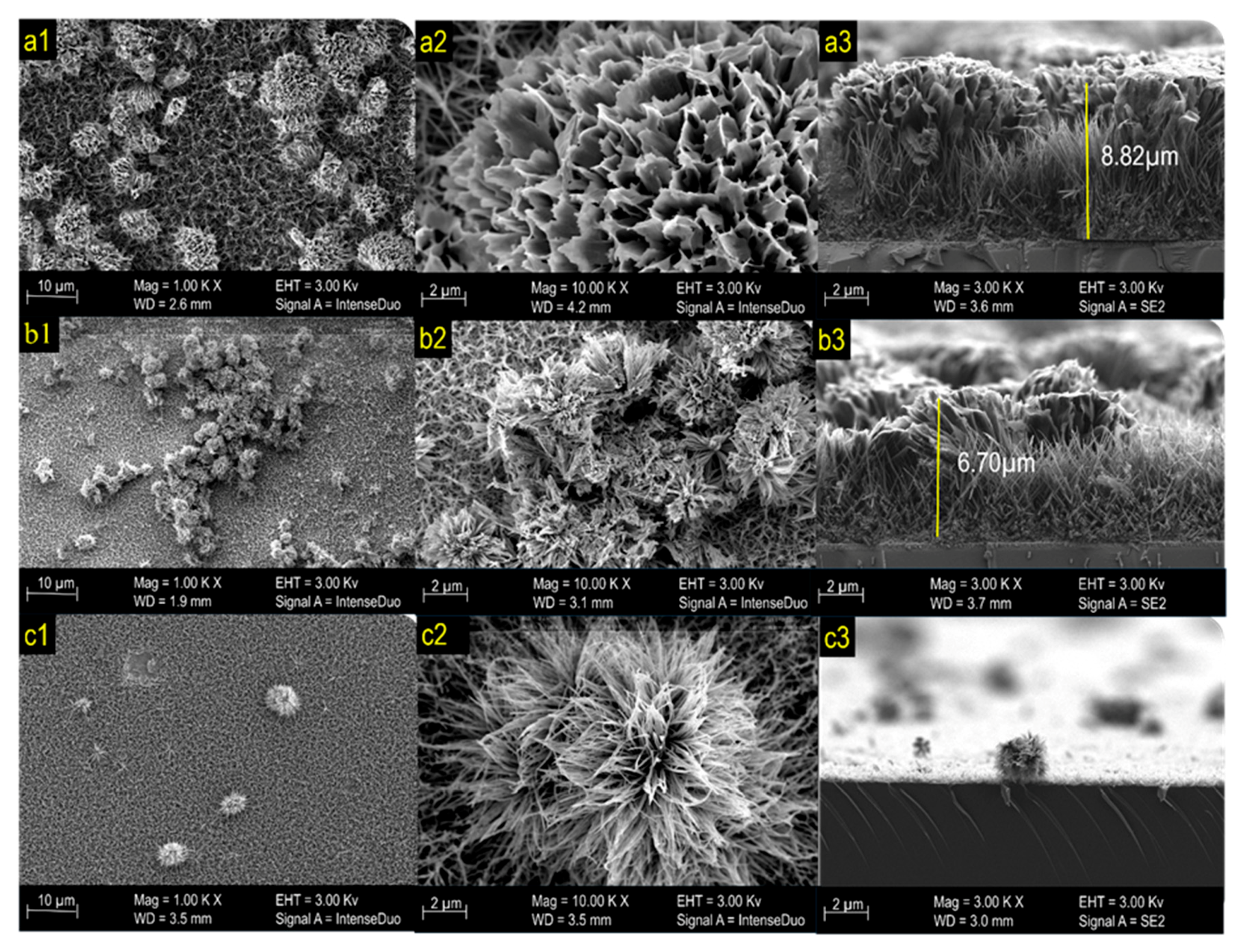 Applsci 11 03031 g003 Applsci 11 03031 g003