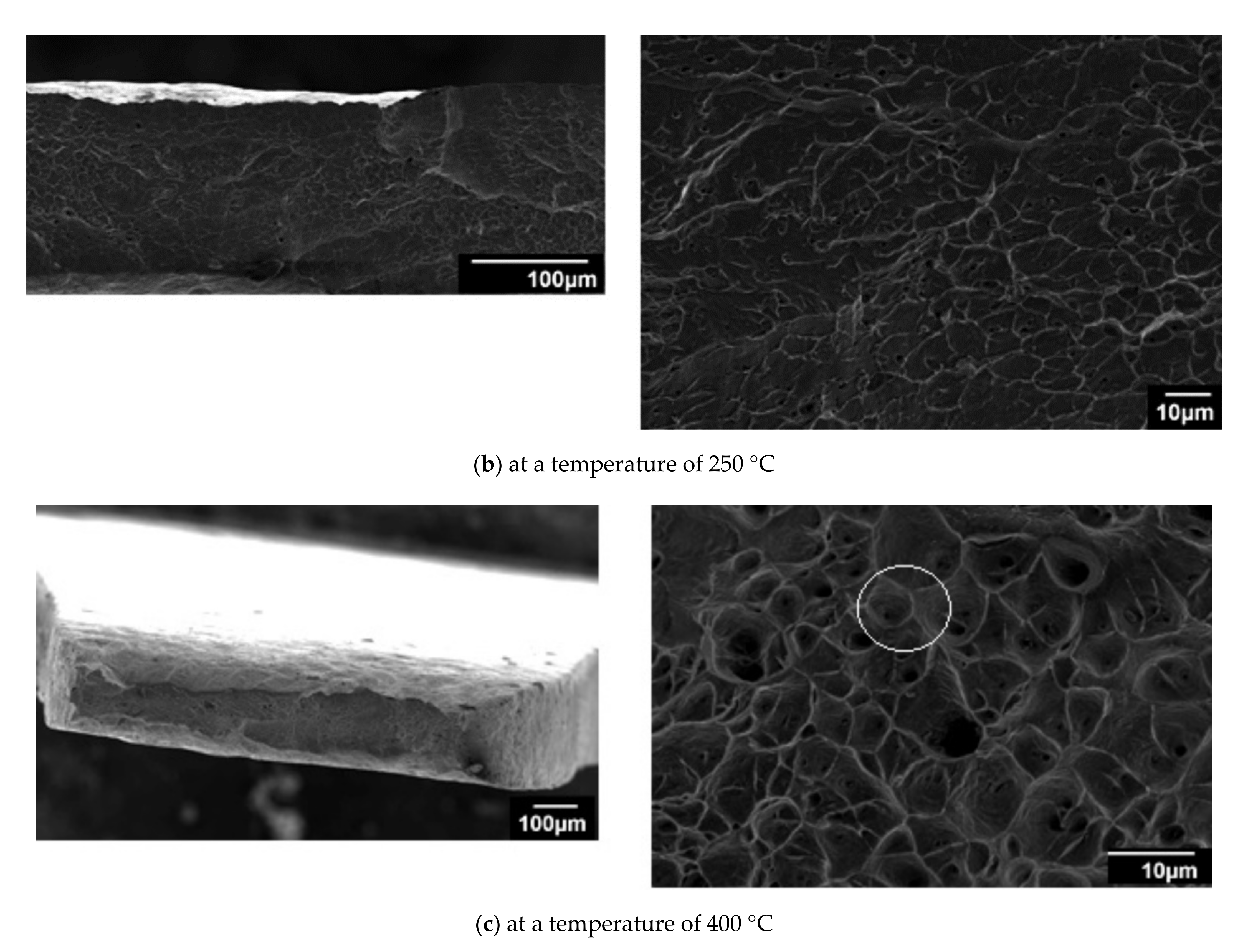 Applsci 11 03052 g007b Applsci 11 03052 g007b