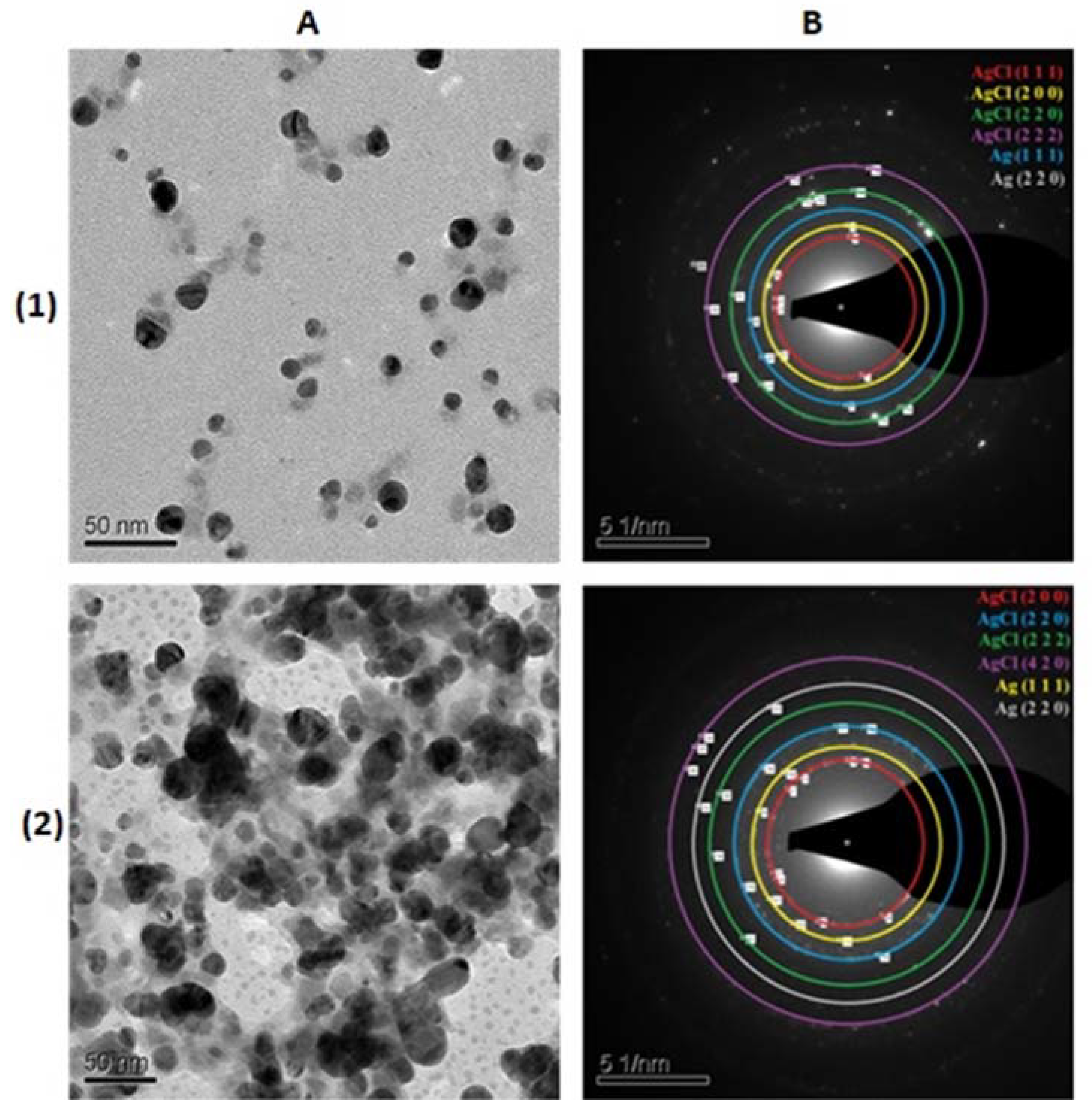 Applsci 11 03134 g003 Applsci 11 03134 g003