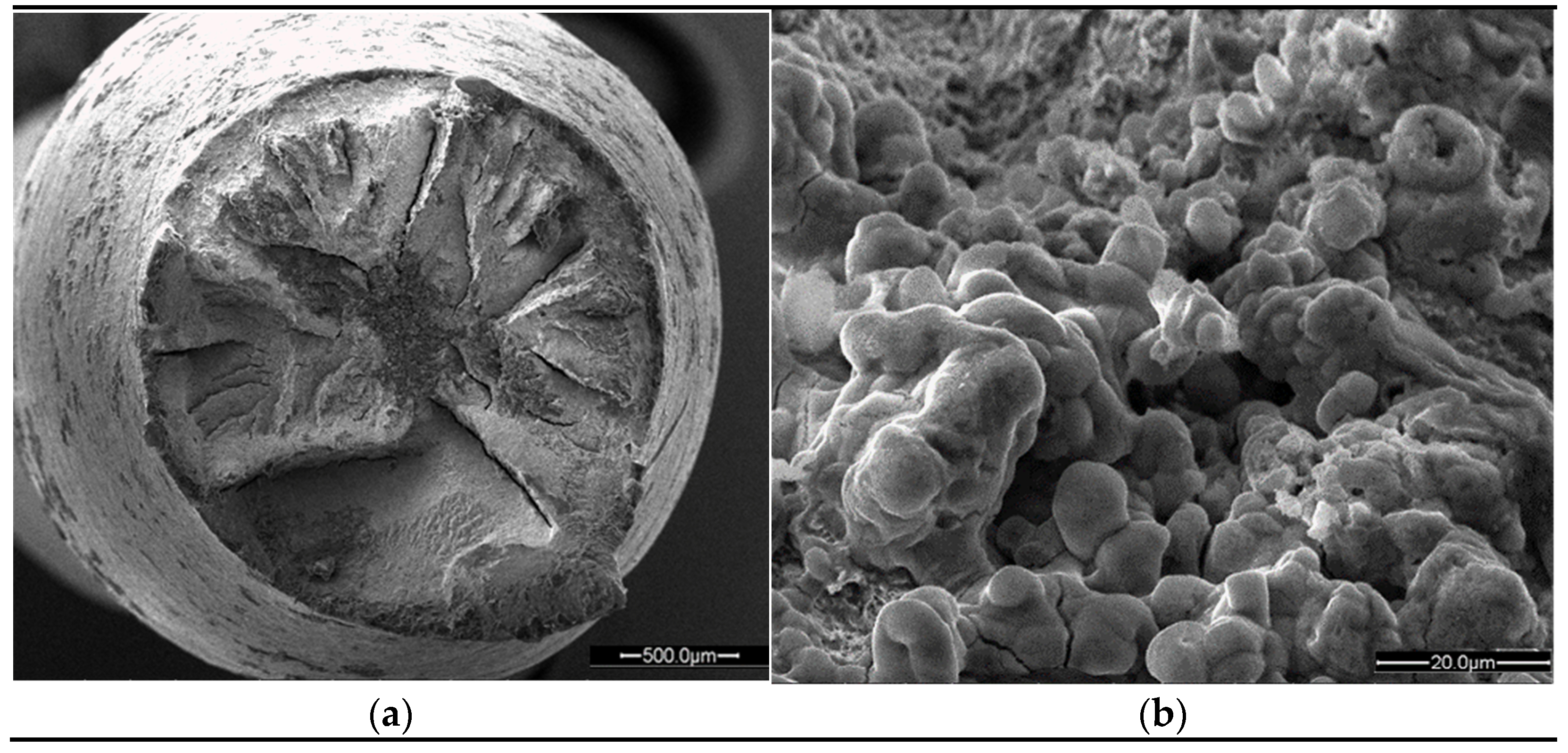 Applsci 11 03272 g006