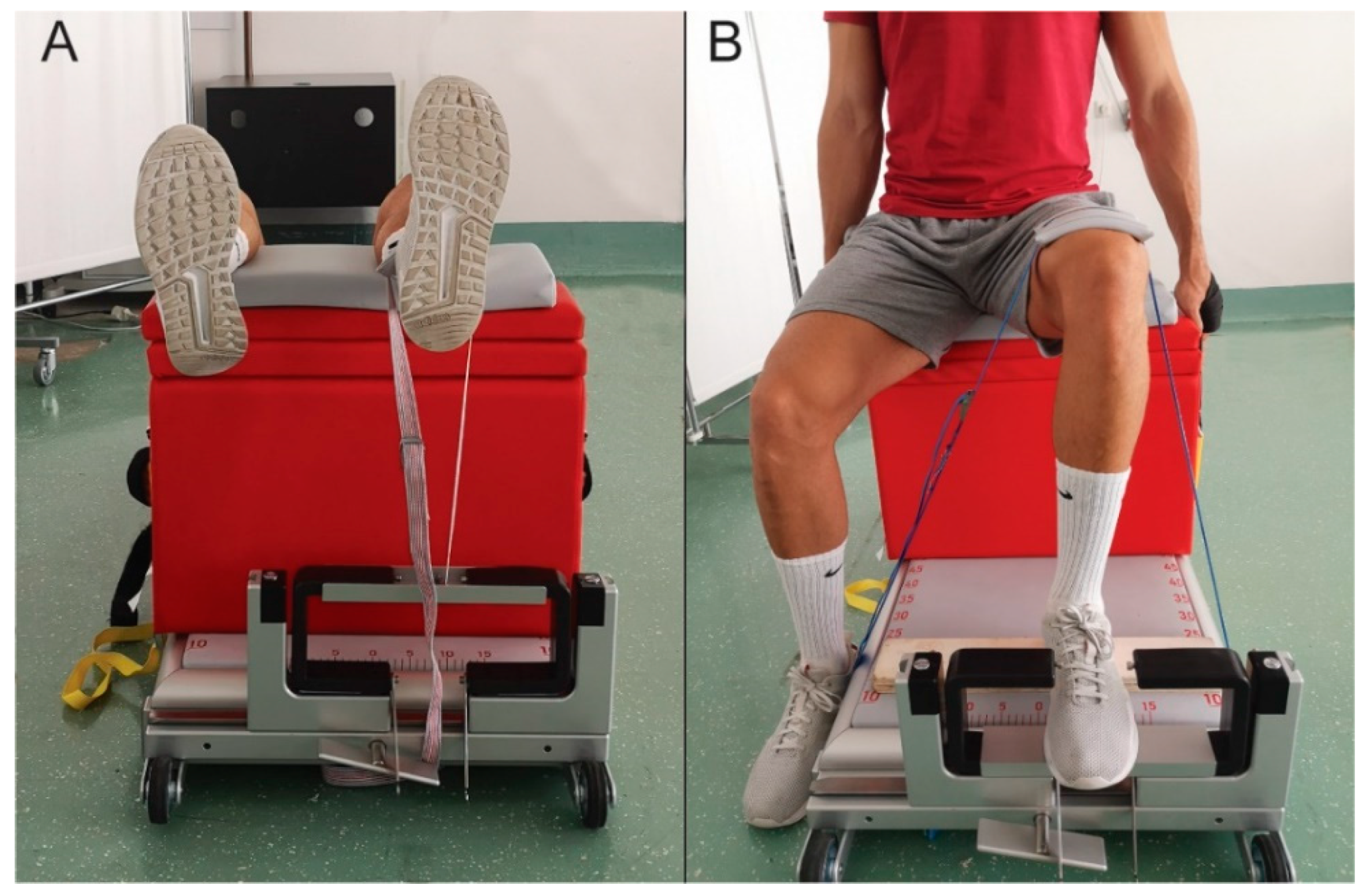 Applied Sciences | Free Full-Text | Reliability of a New Portable  Dynamometer for Assessing Hip and Lower Limb Strength | HTML