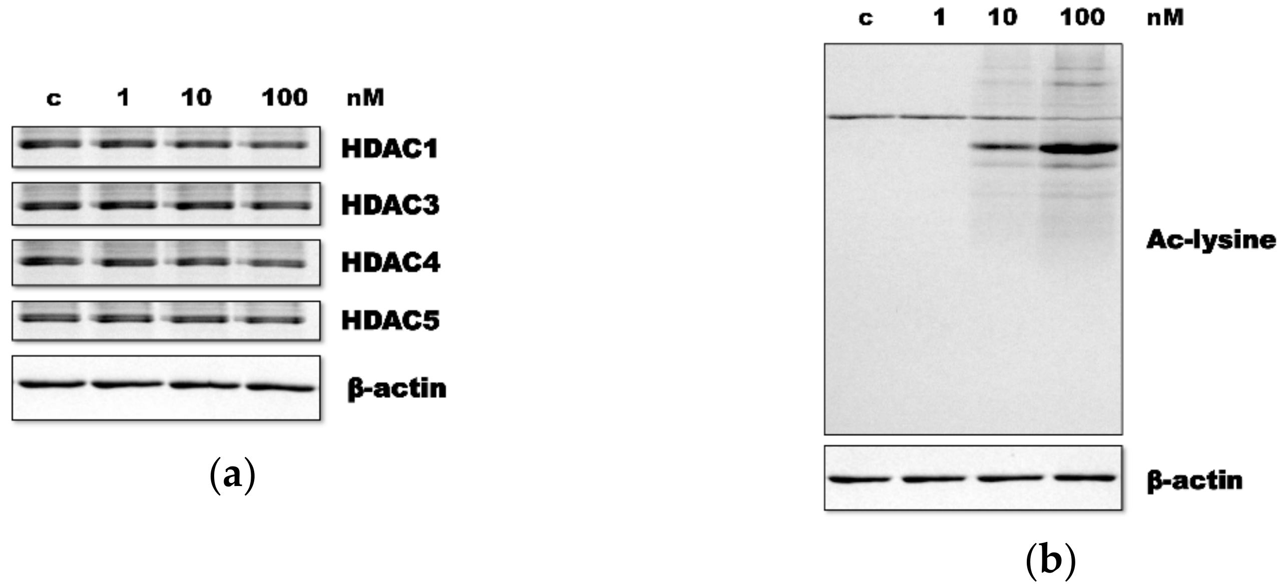 Applsci 11 03486 g002