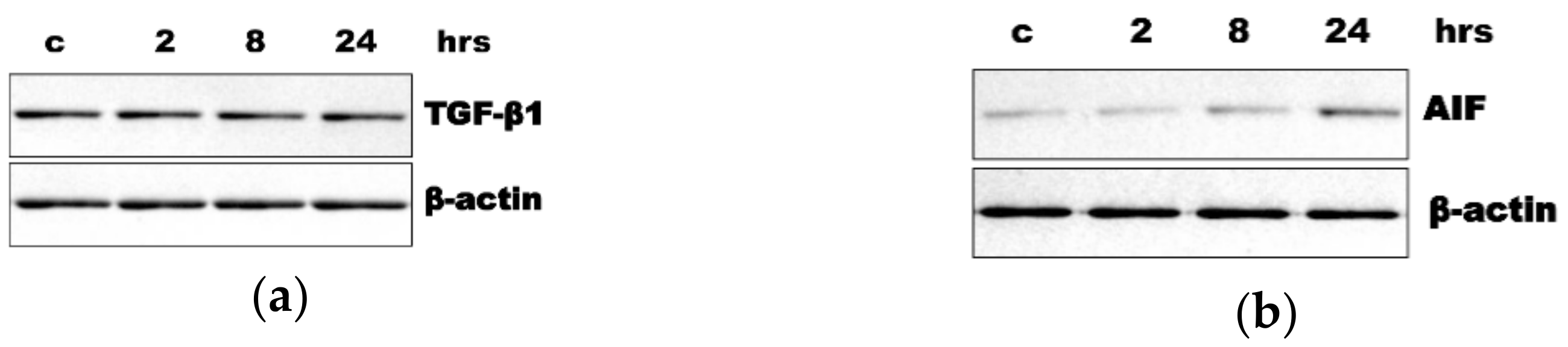 Applsci 11 03486 g003