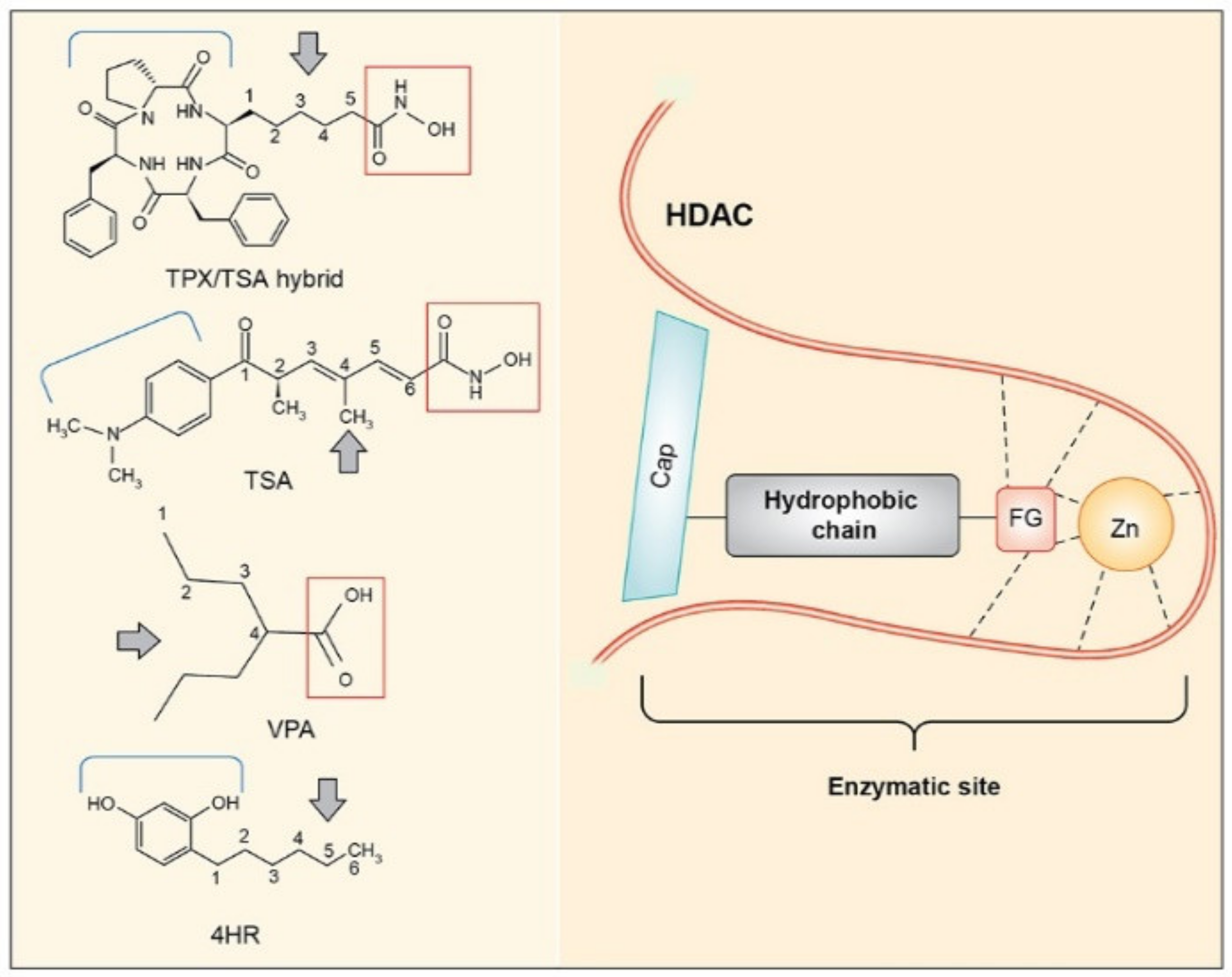 Applsci 11 03486 g005