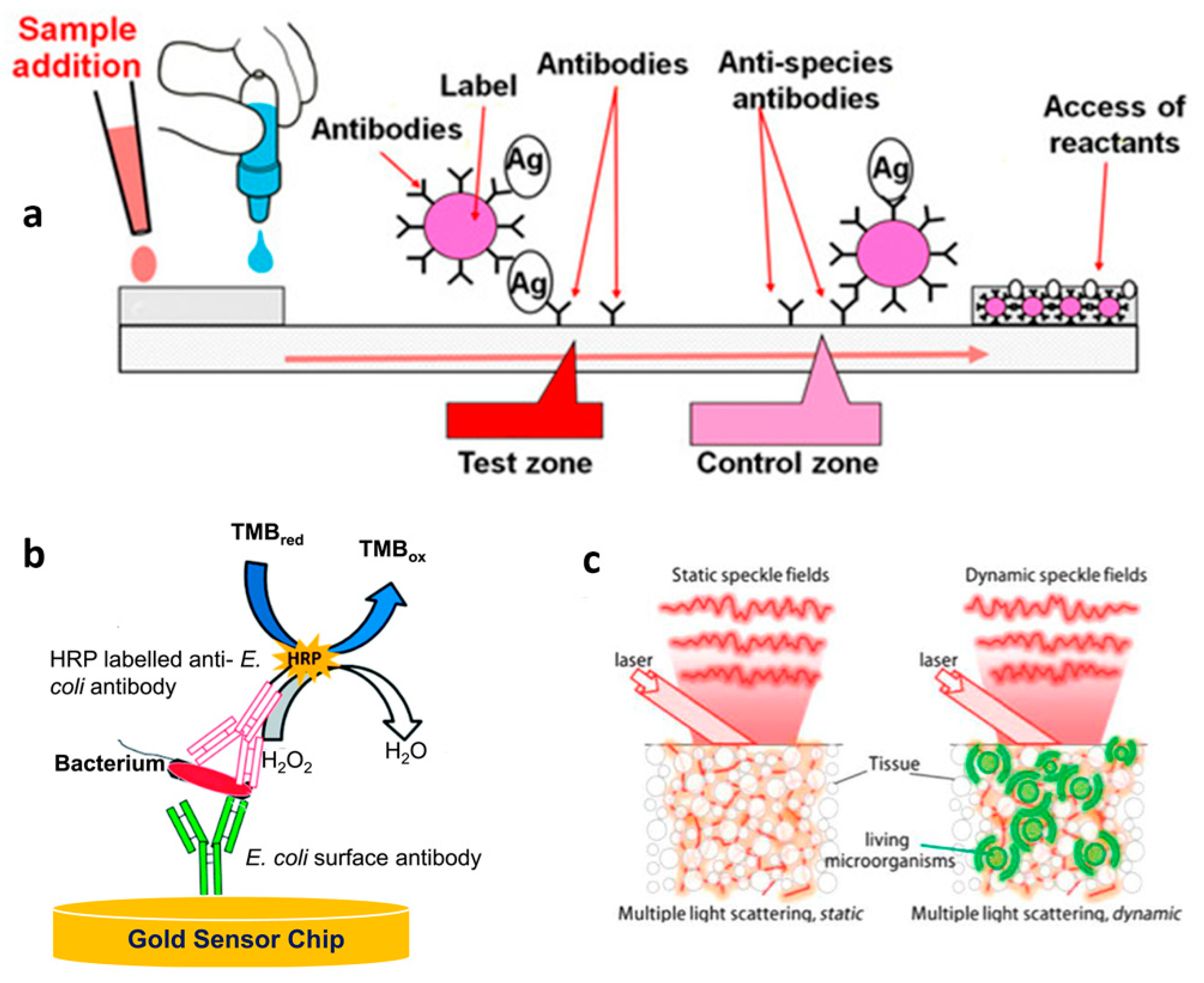 Applsci 11 03532 g005 Applsci 11 03532 g005