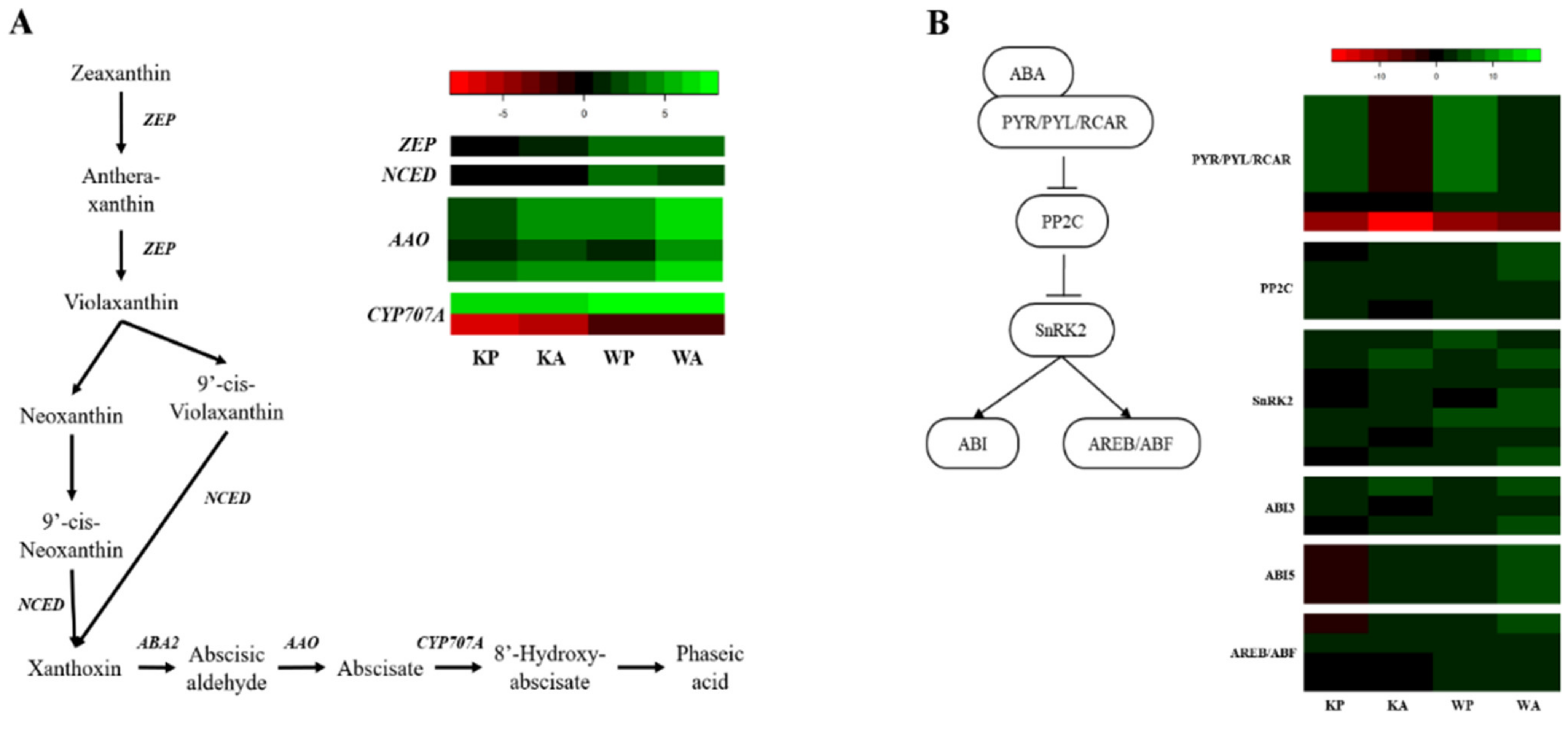 Applsci 11 03562 g002