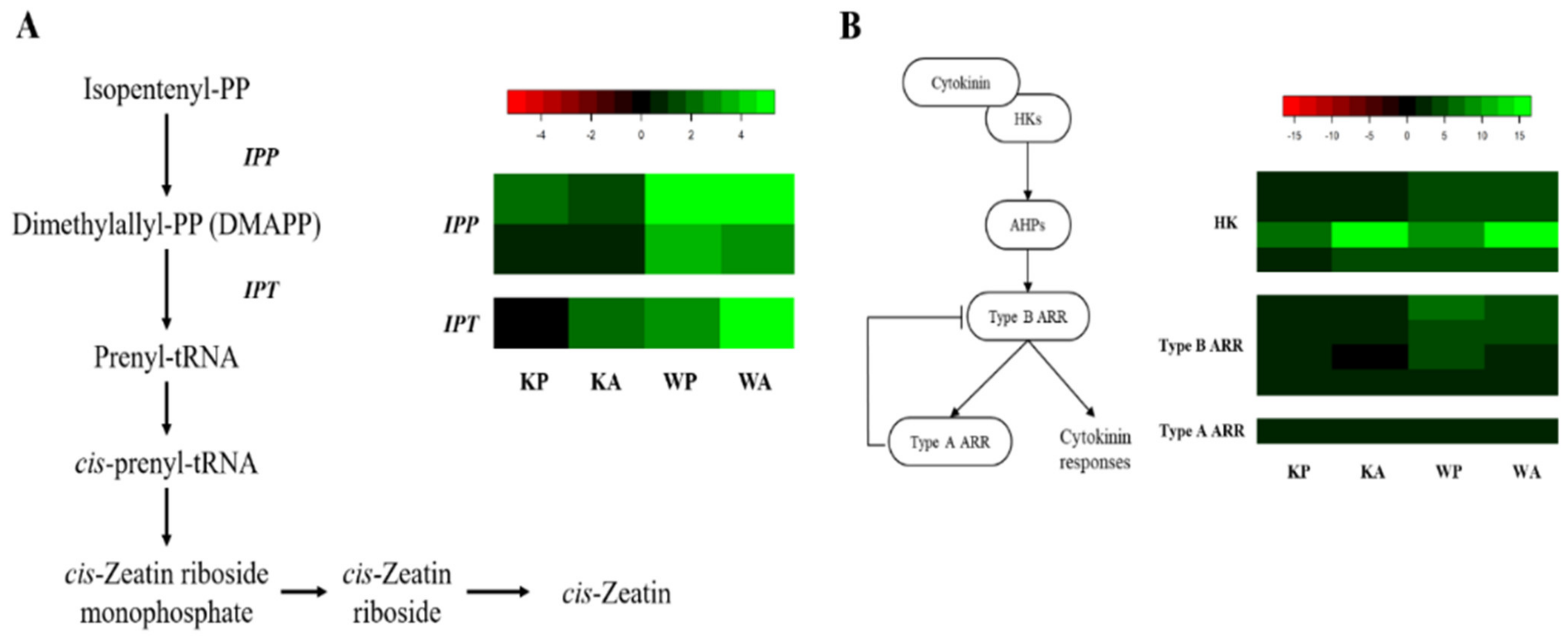 Applsci 11 03562 g005