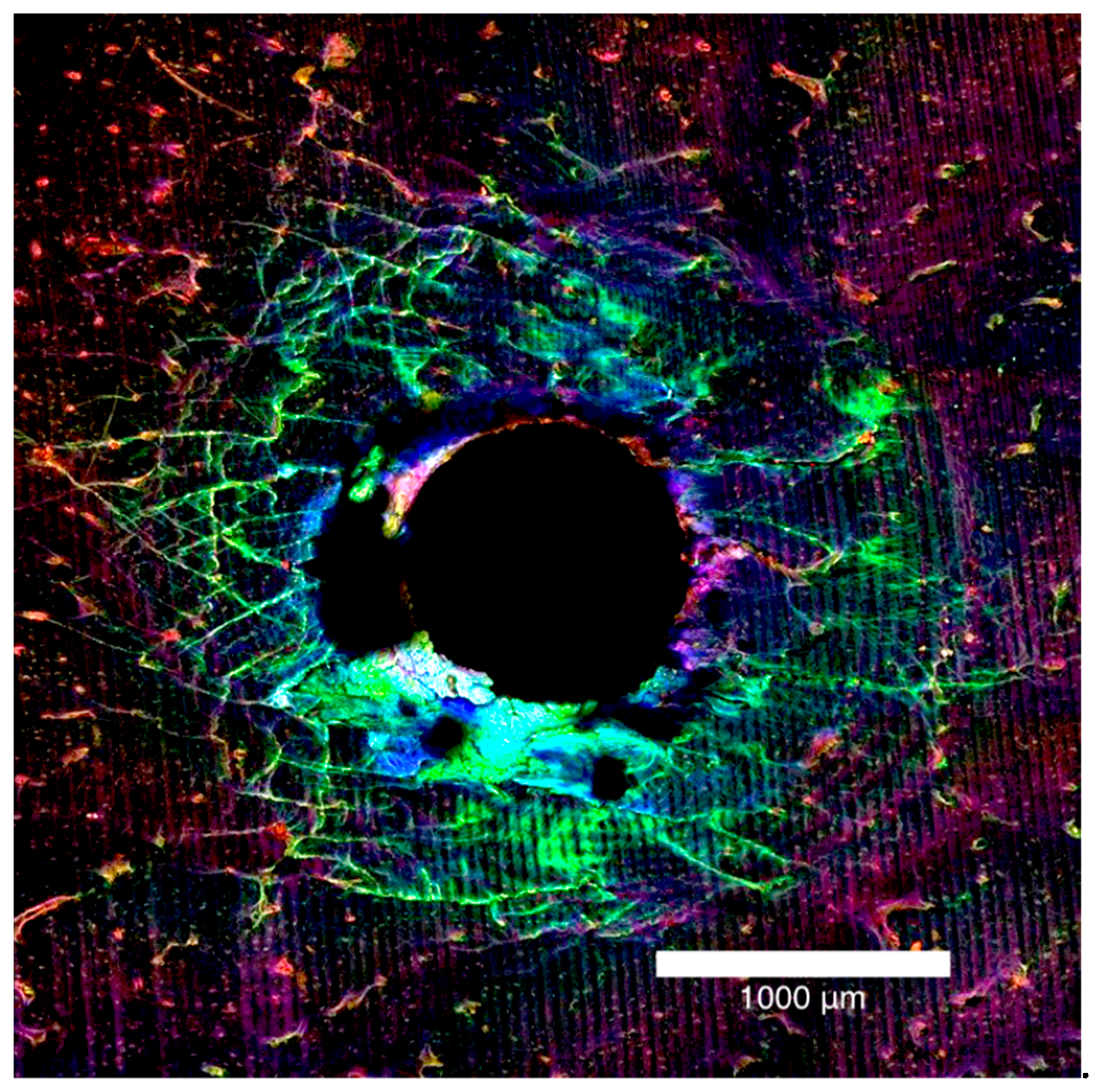 Applsci 11 03564 g002