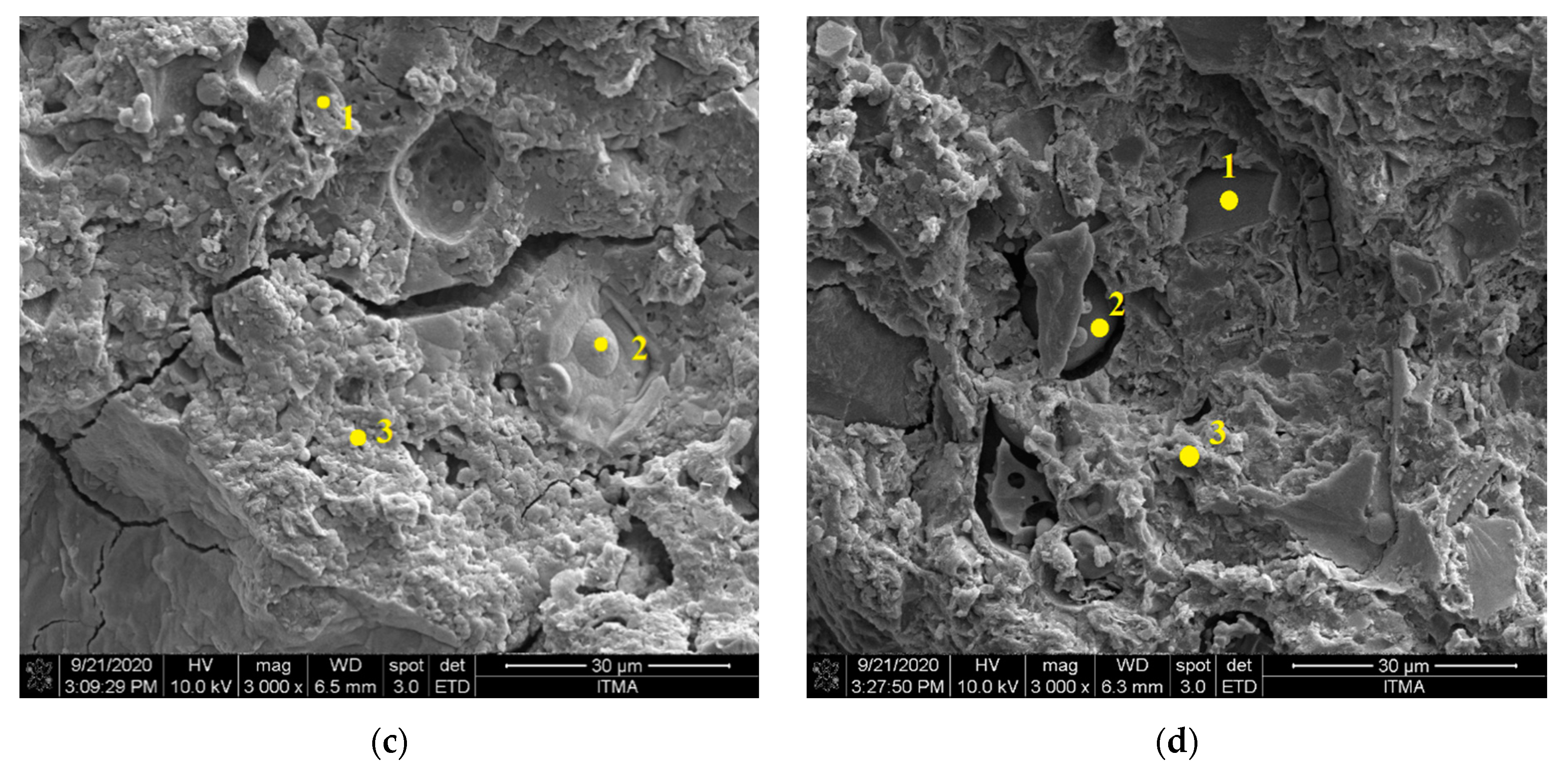 Applsci 11 03572 g007b Applsci 11 03572 g007b