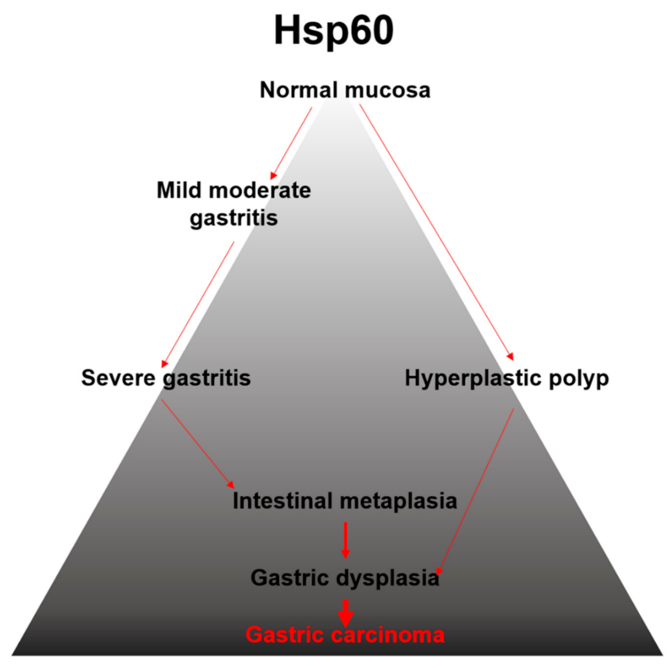 Applsci 11 03582 g005 Applsci 11 03582 g005