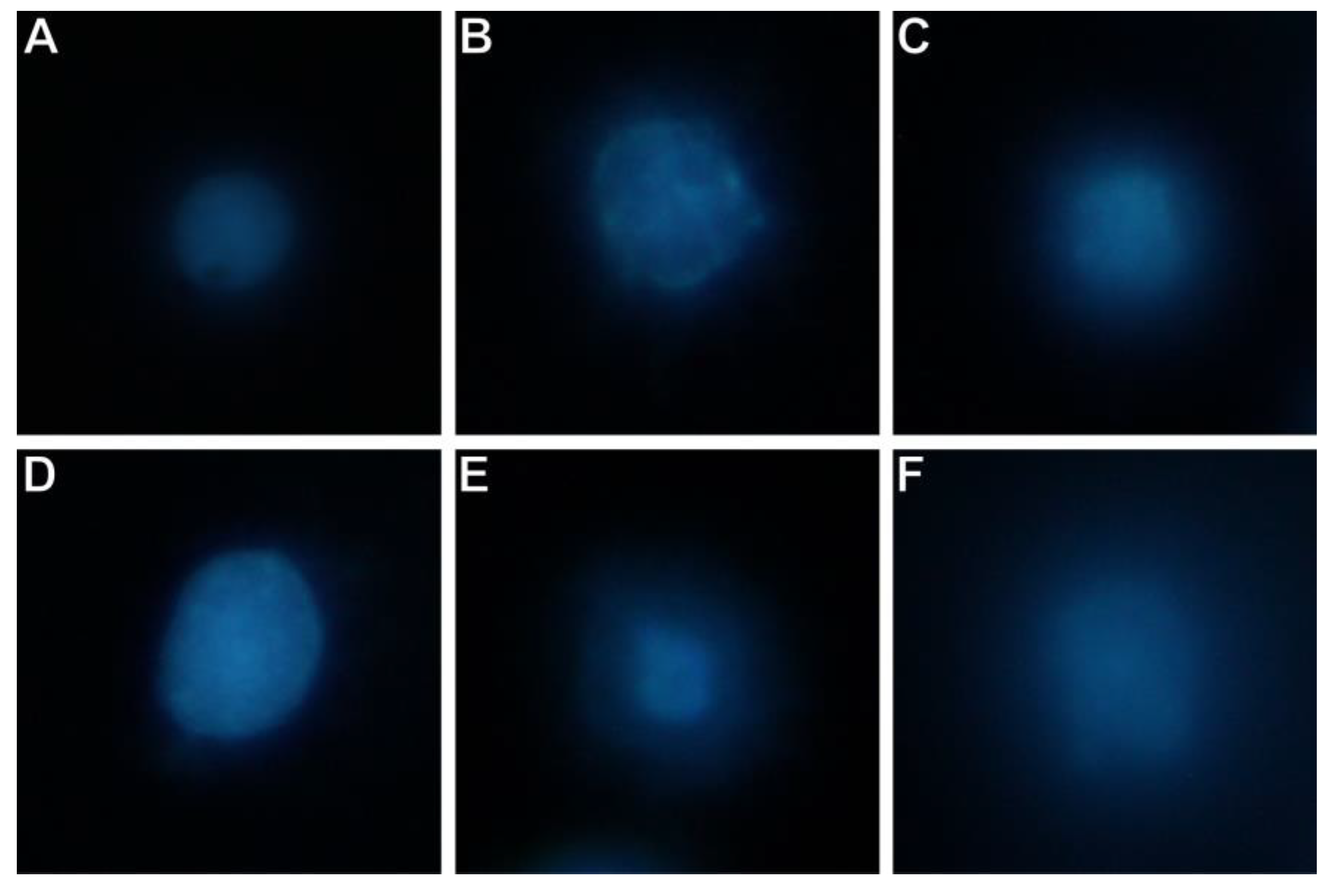 Applsci 11 03729 g003