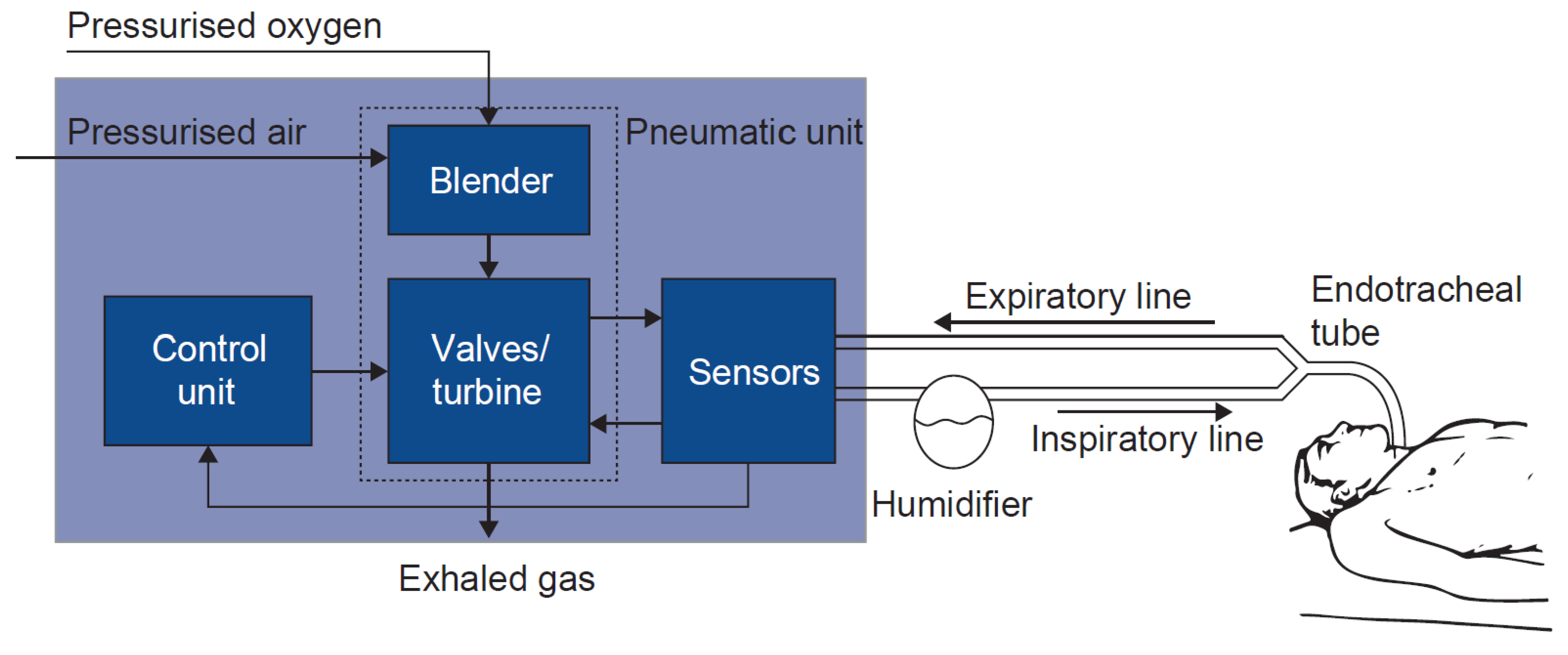 Applied Sciences | Free Full-Text | Patient–Ventilator Interaction Testing  Using the Electromechanical Lung Simulator xPULM™ during V/A-C and PSV  Ventilation Mode