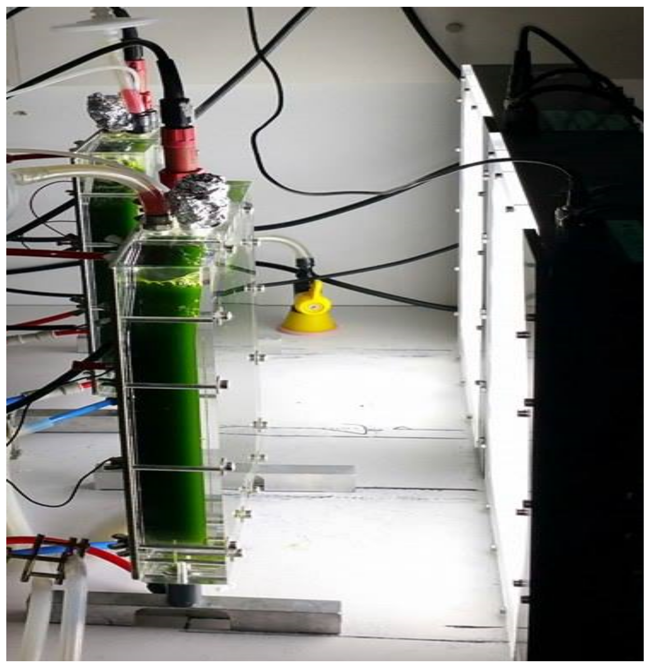 Applsci 11 03799 g001