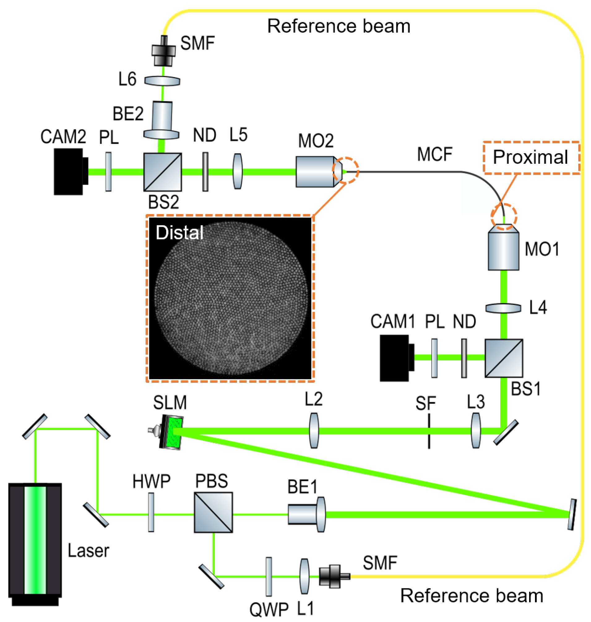 Applsci 11 03949 g001