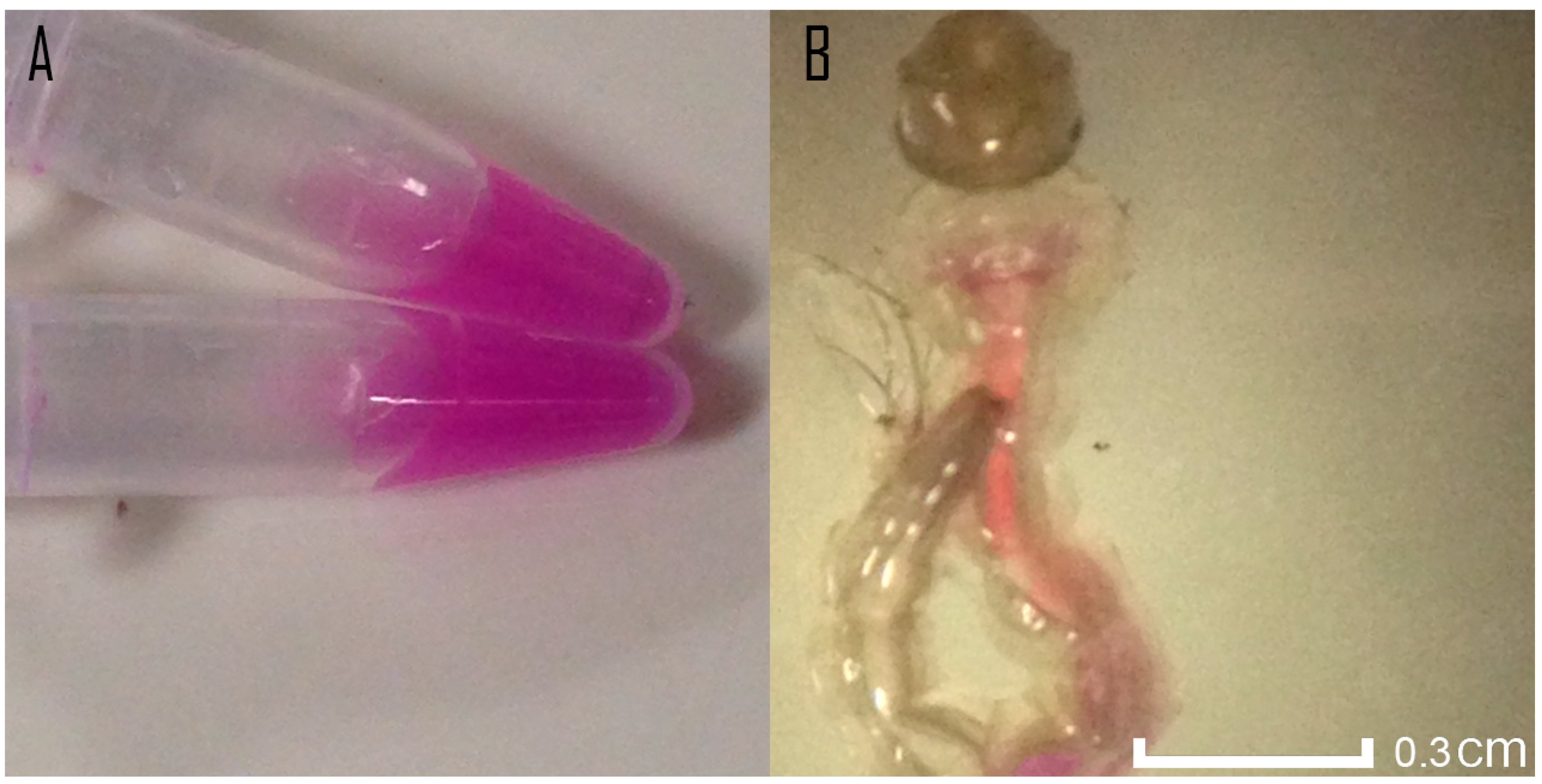 Applsci 11 03970 g001