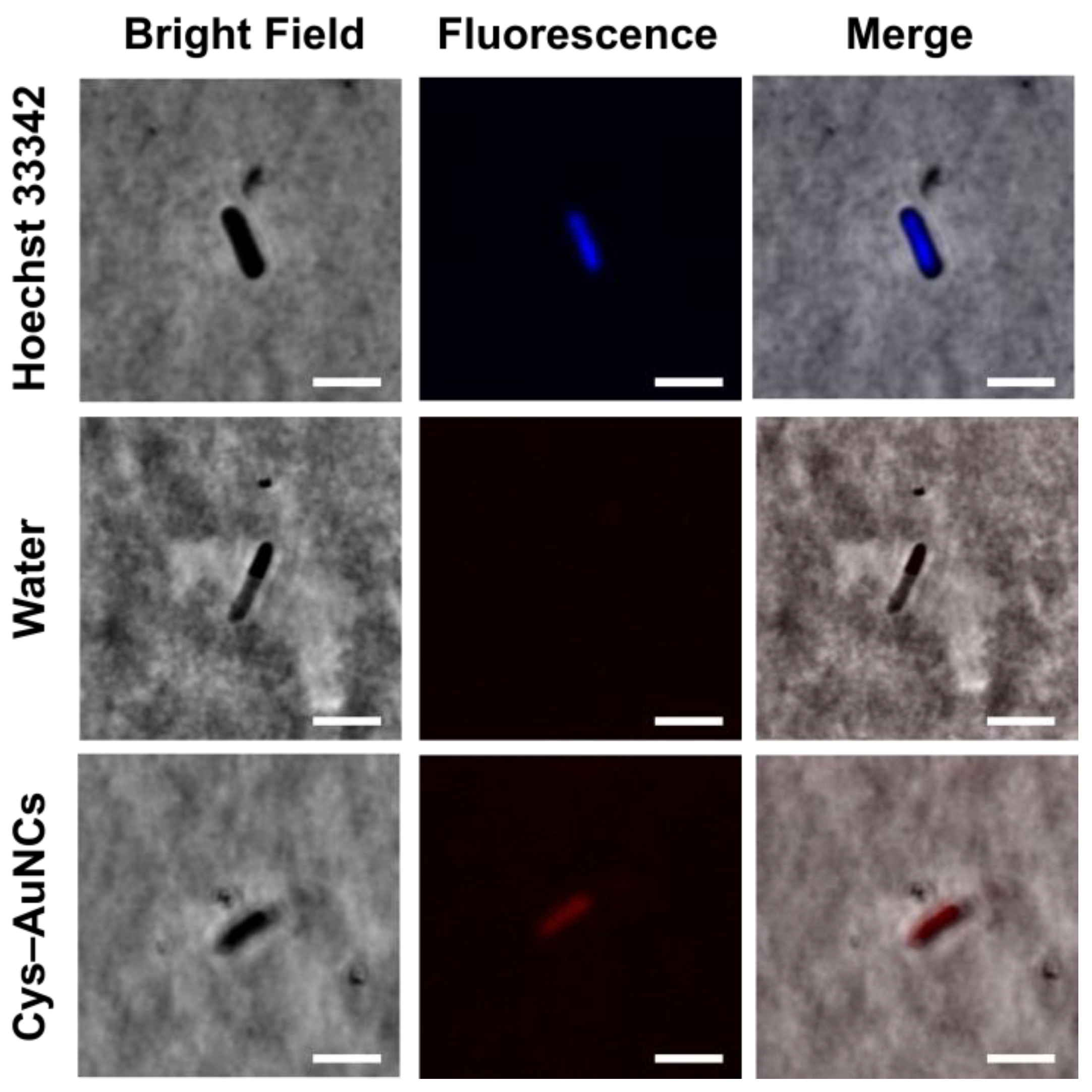 Applsci 11 04095 g007 Applsci 11 04095 g007