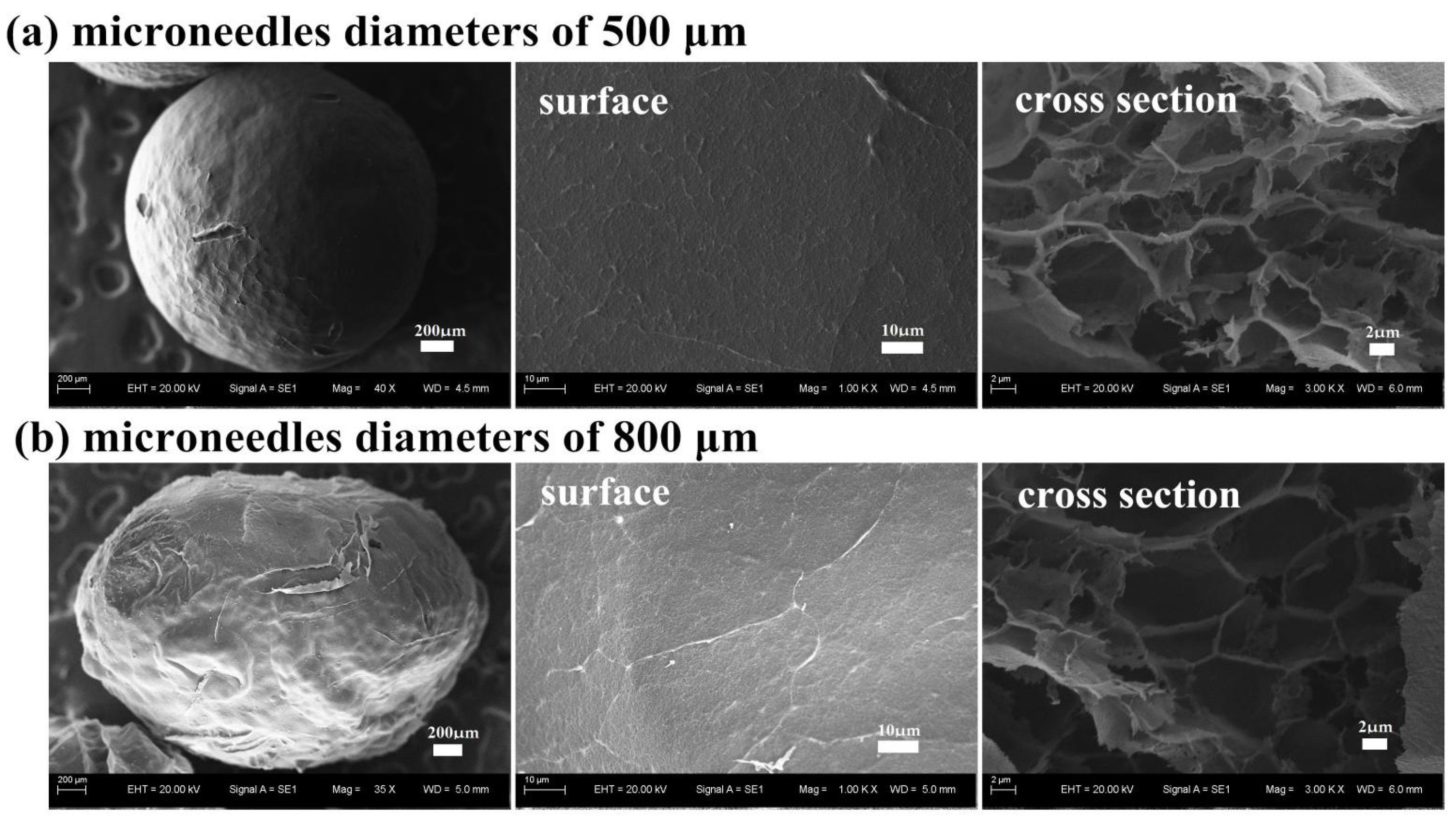 Applsci 11 04217 g004