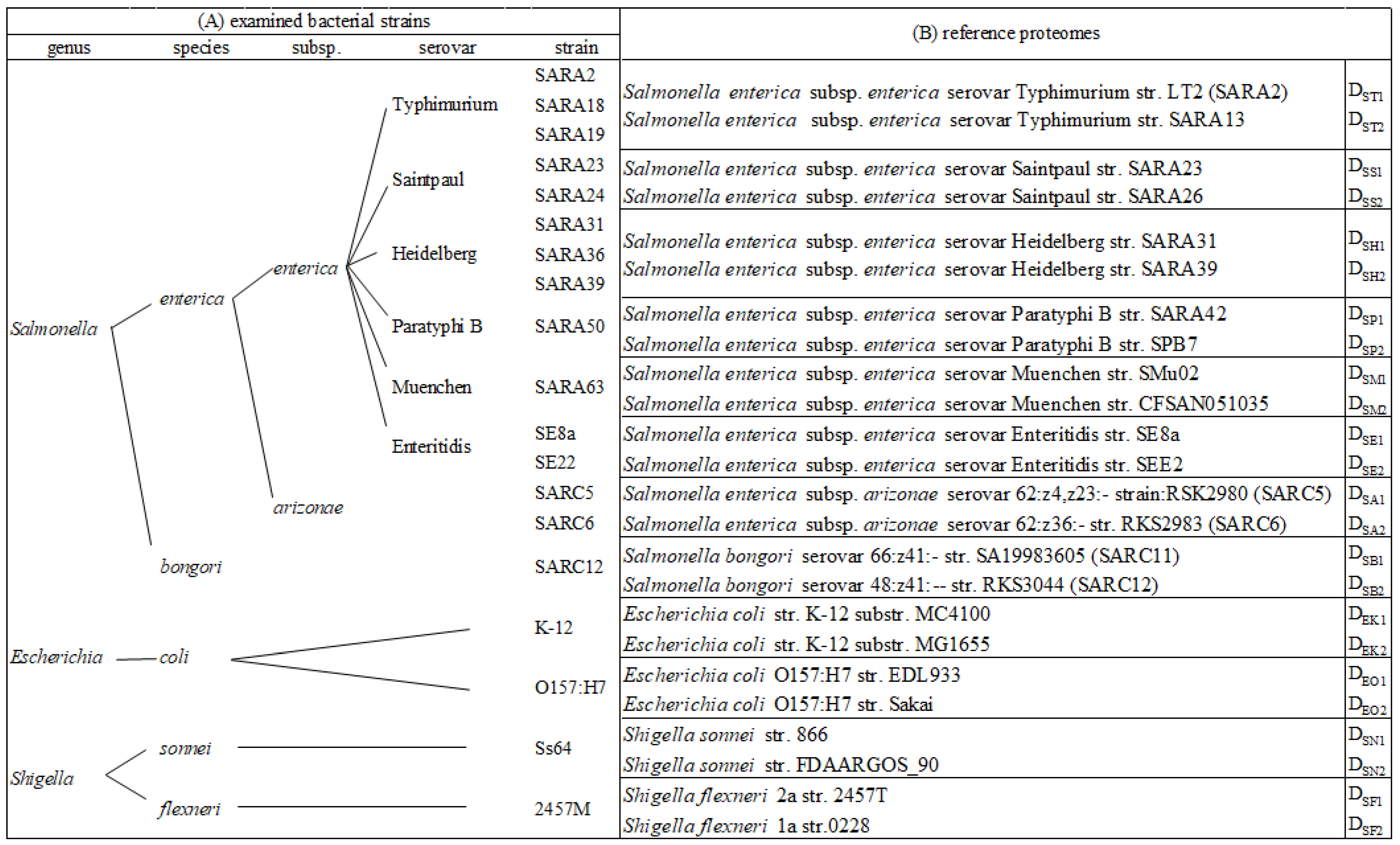 Applsci 11 04264 g001 Applsci 11 04264 g001