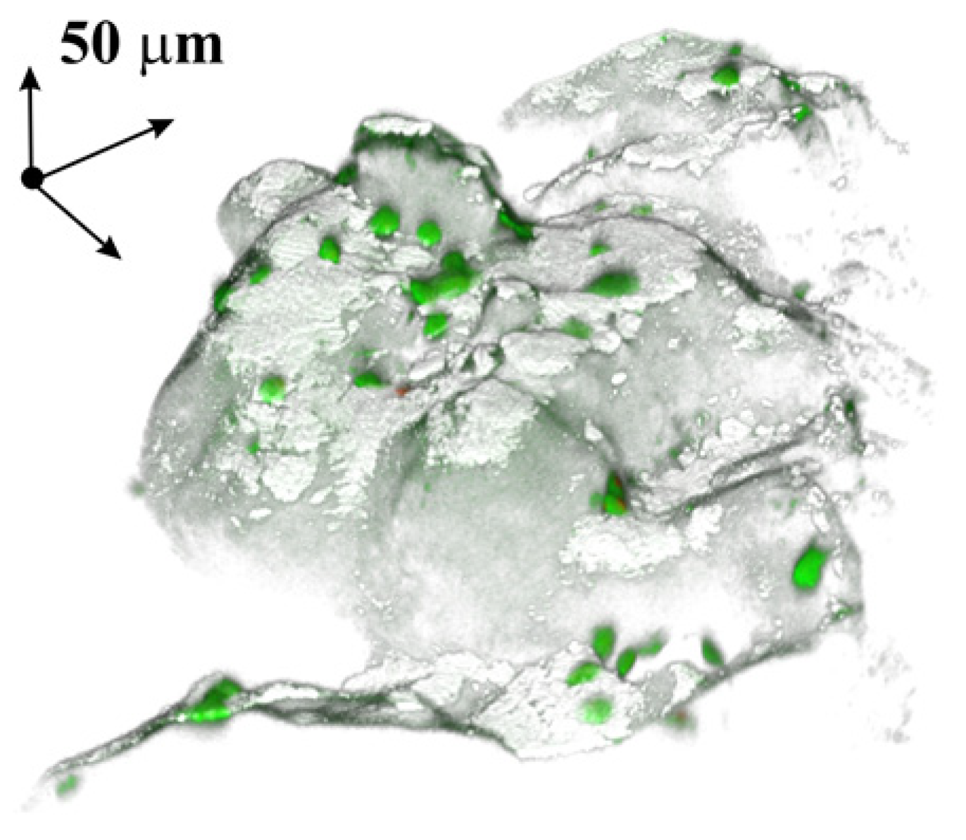 Applsci 11 04372 g008