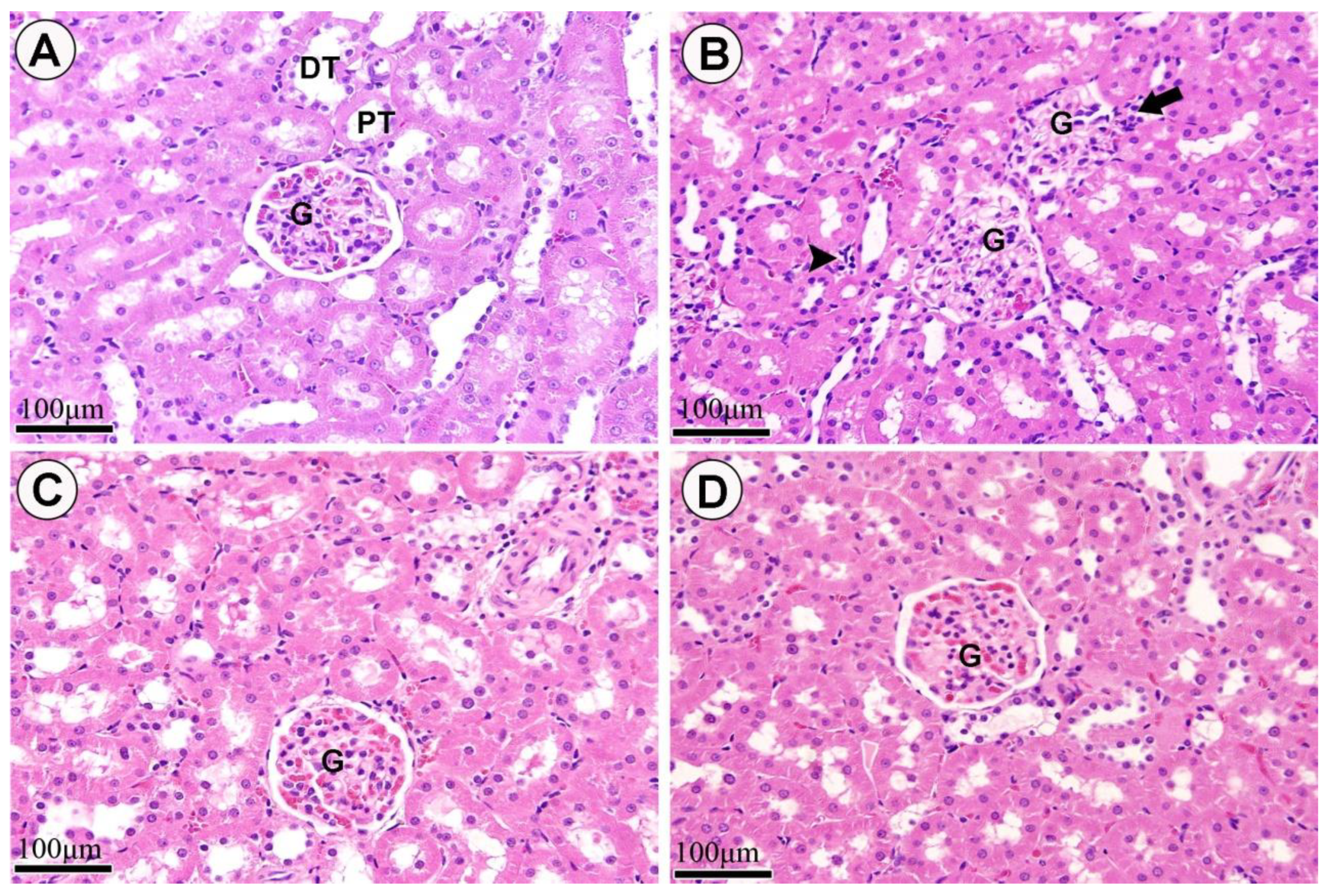 Applsci 11 04548 g007 Applsci 11 04548 g007