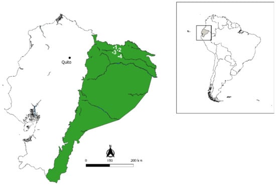 Applied Sciences | Free Full-Text | Potential for Farmers' Cooperatives to  Convert Coffee Husks into Biochar and Promote the Bioeconomy in the North  Ecuadorian Amazon