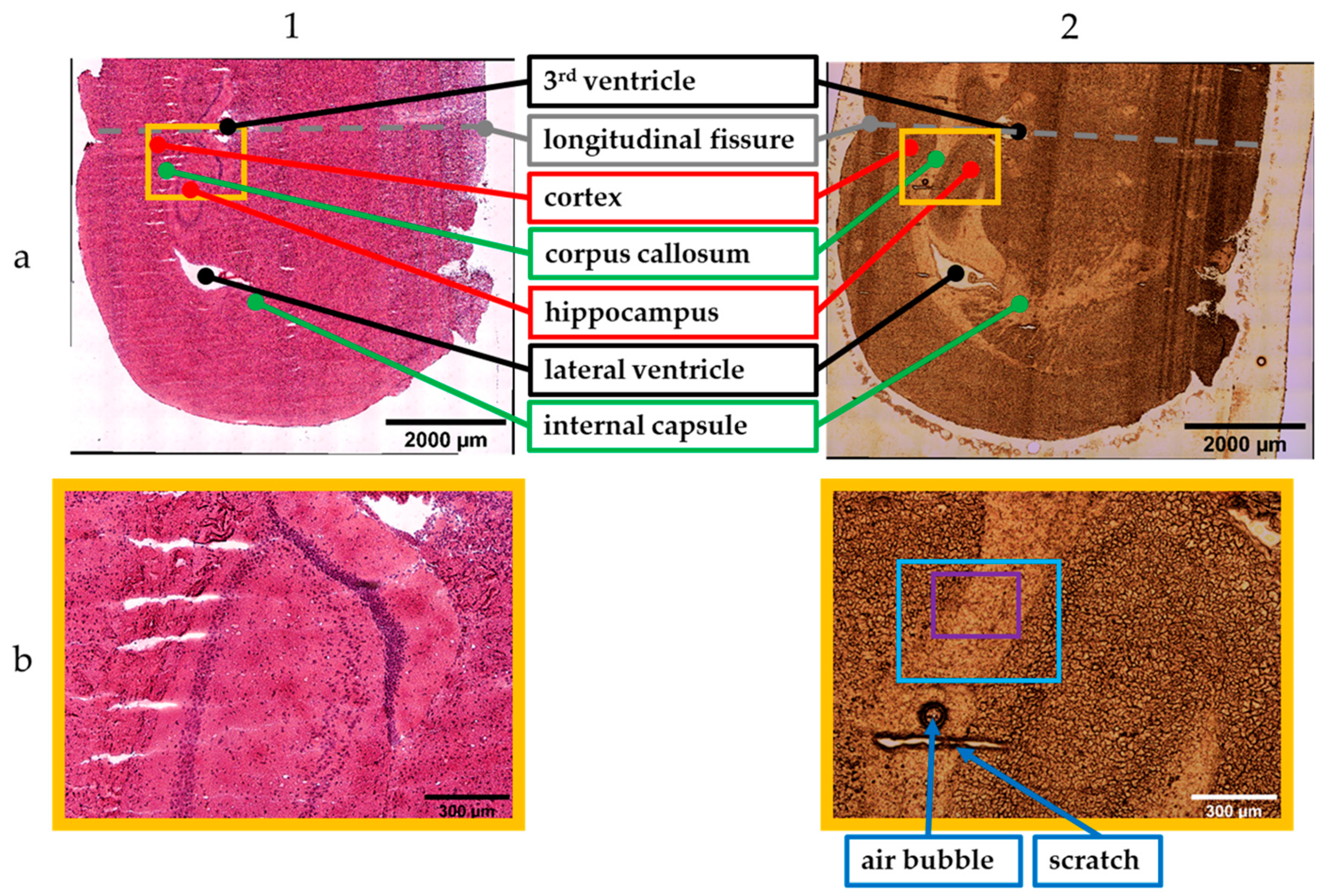 Applsci 11 04777 g002