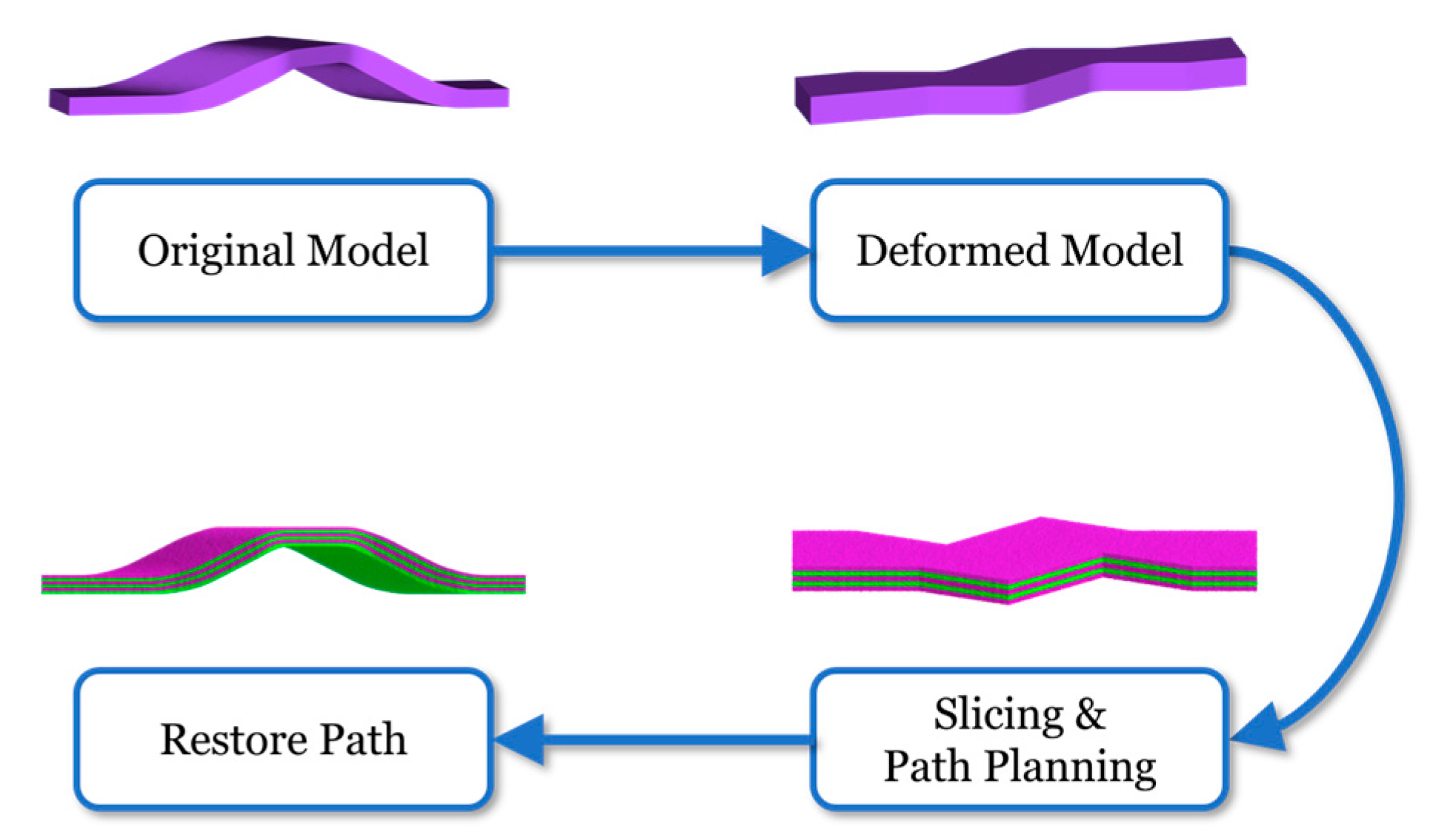 Path model