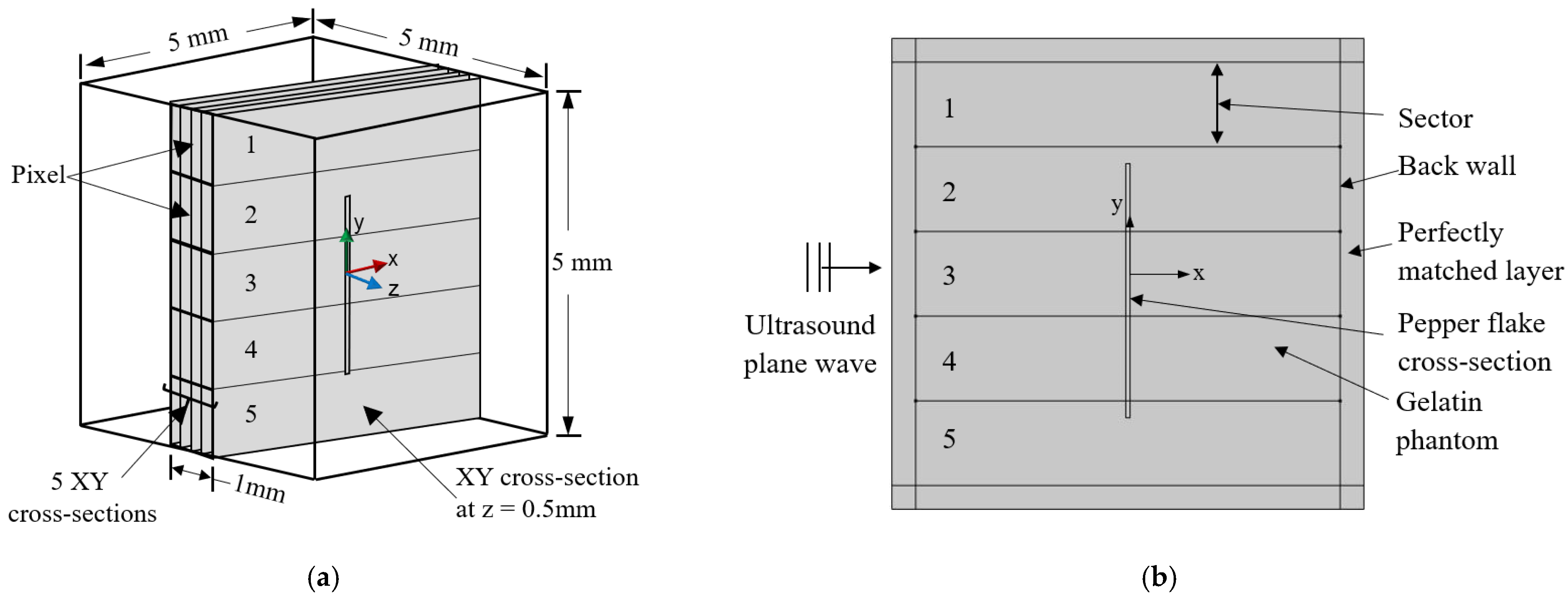 Applied Sciences Free Full Text Computational Modeling Of Ultrasound C Scan Imaging Using Transmitted Signal Peak Density Html