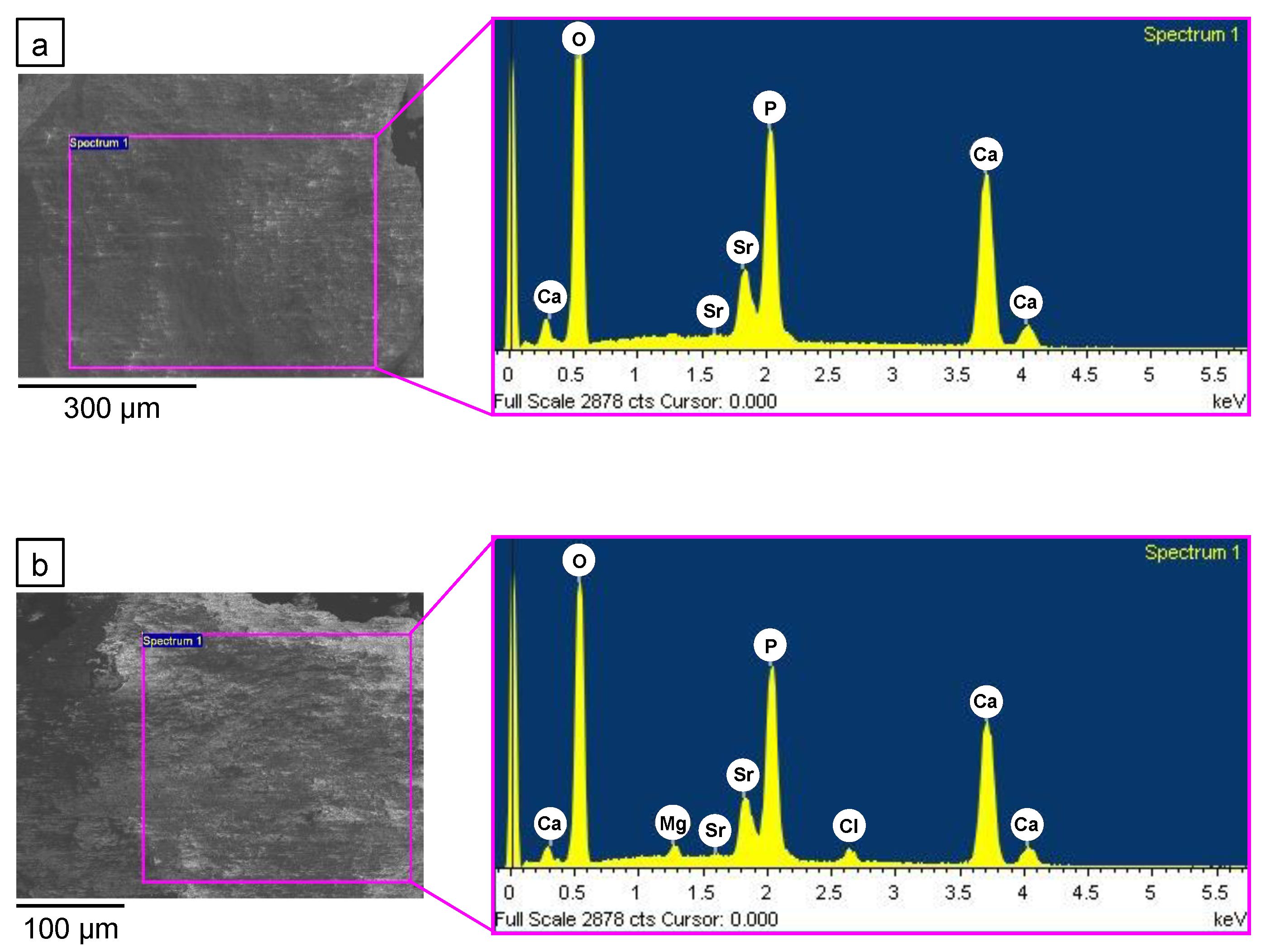Applsci 11 04930 g004