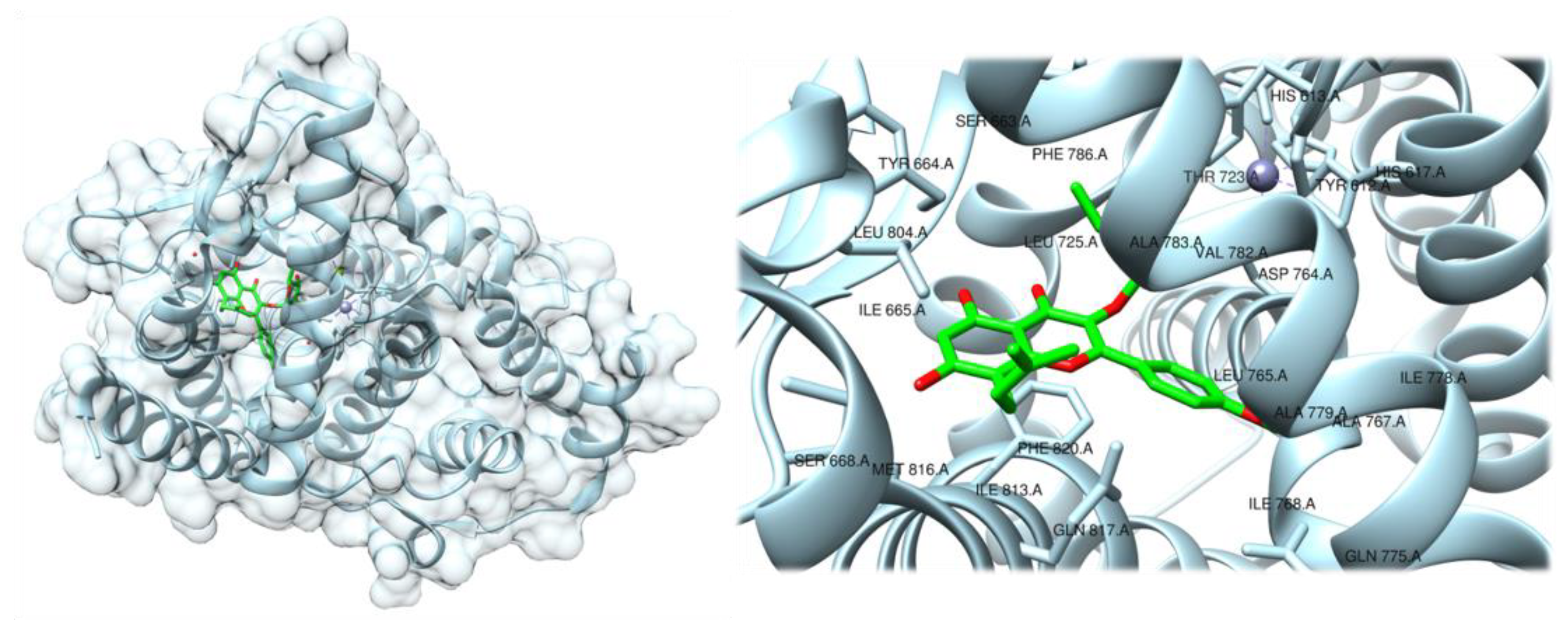 Applsci 11 05044 g003