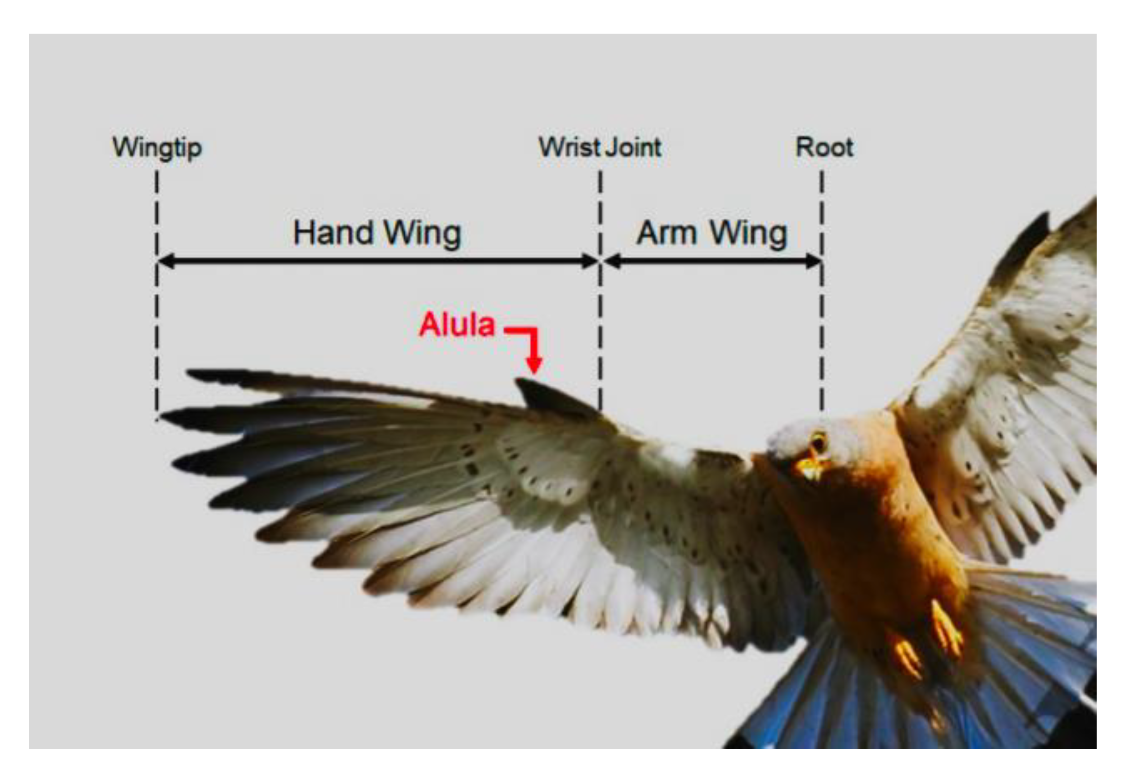 Applsci 11 05054 g019 Applsci 11 05054 g019