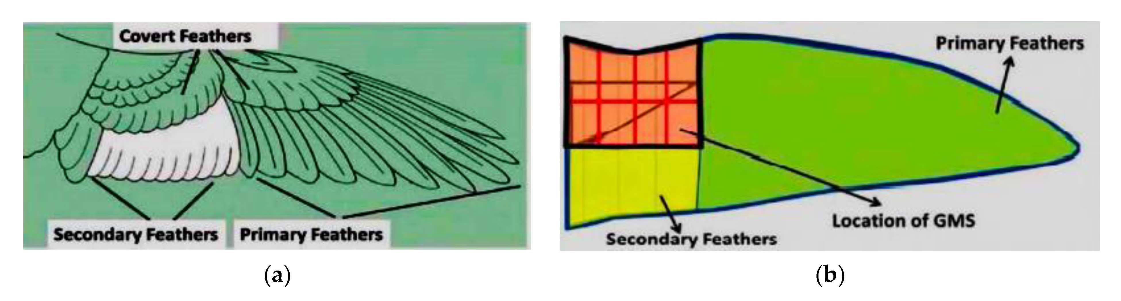 Applsci 11 05054 g021 Applsci 11 05054 g021