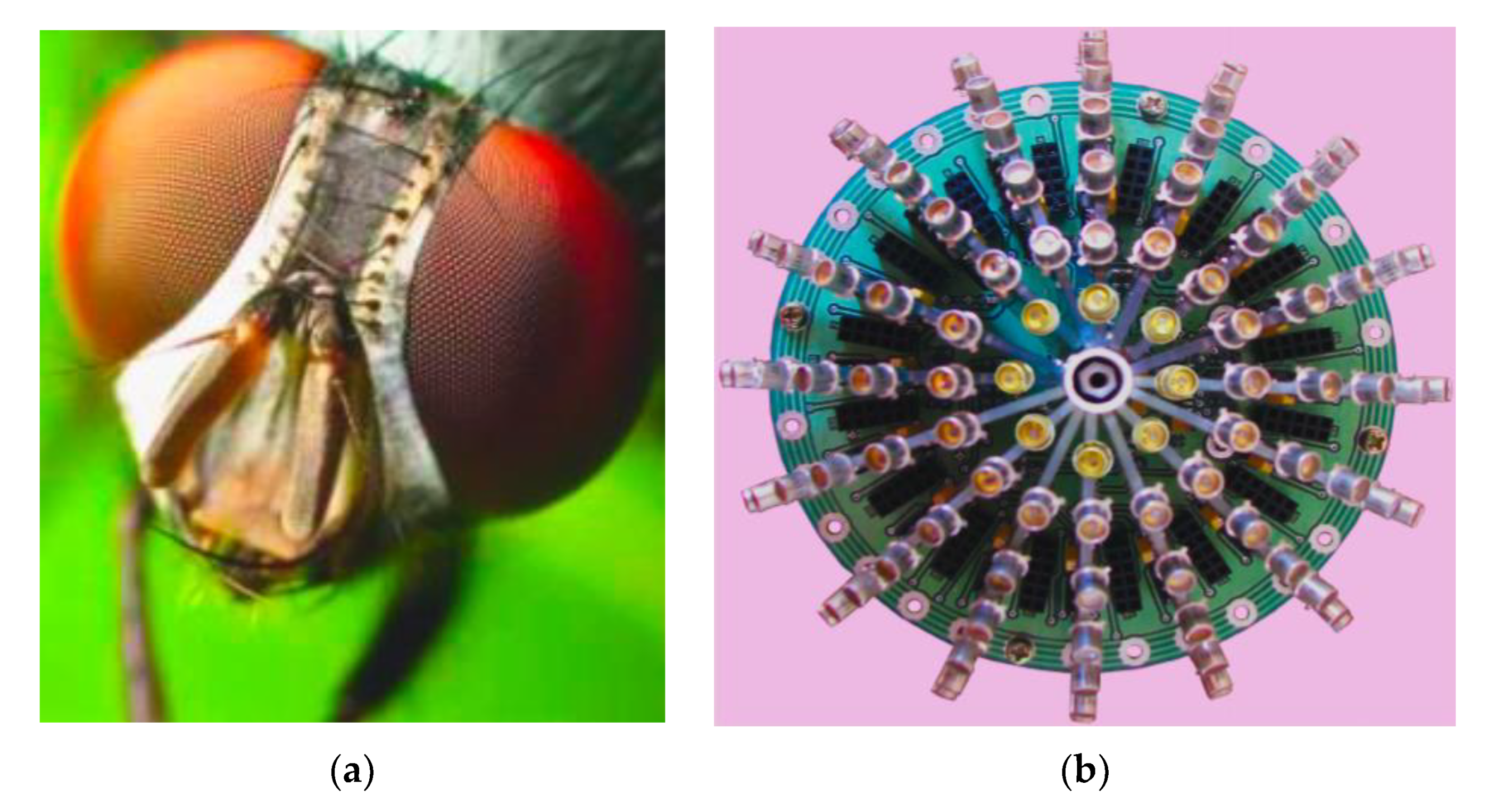 Applsci 11 05054 g023 Applsci 11 05054 g023