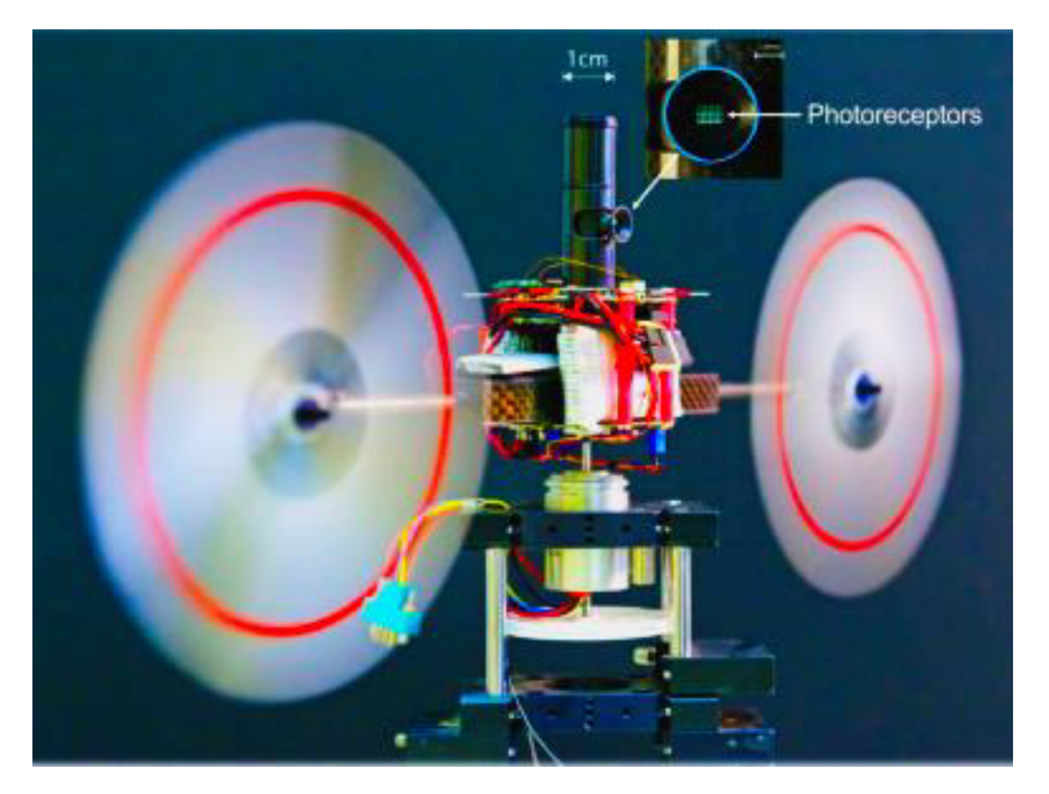 Applsci 11 05054 g024 Applsci 11 05054 g024