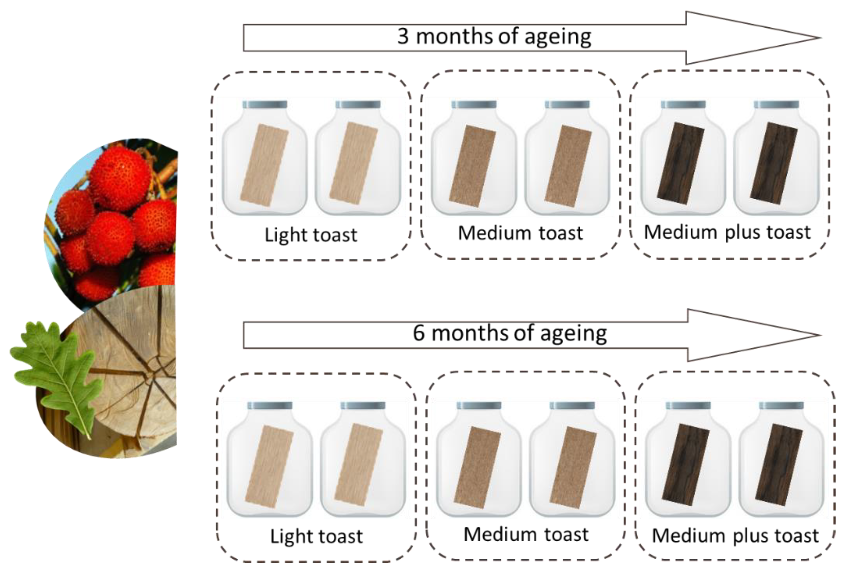 Applied Sciences | Free Full-Text | Characterization of a Spirit Beverage  Produced with Strawberry Tree (Arbutus unedo L.) Fruit and Aged with Oak  Wood at Laboratorial Scale | HTML