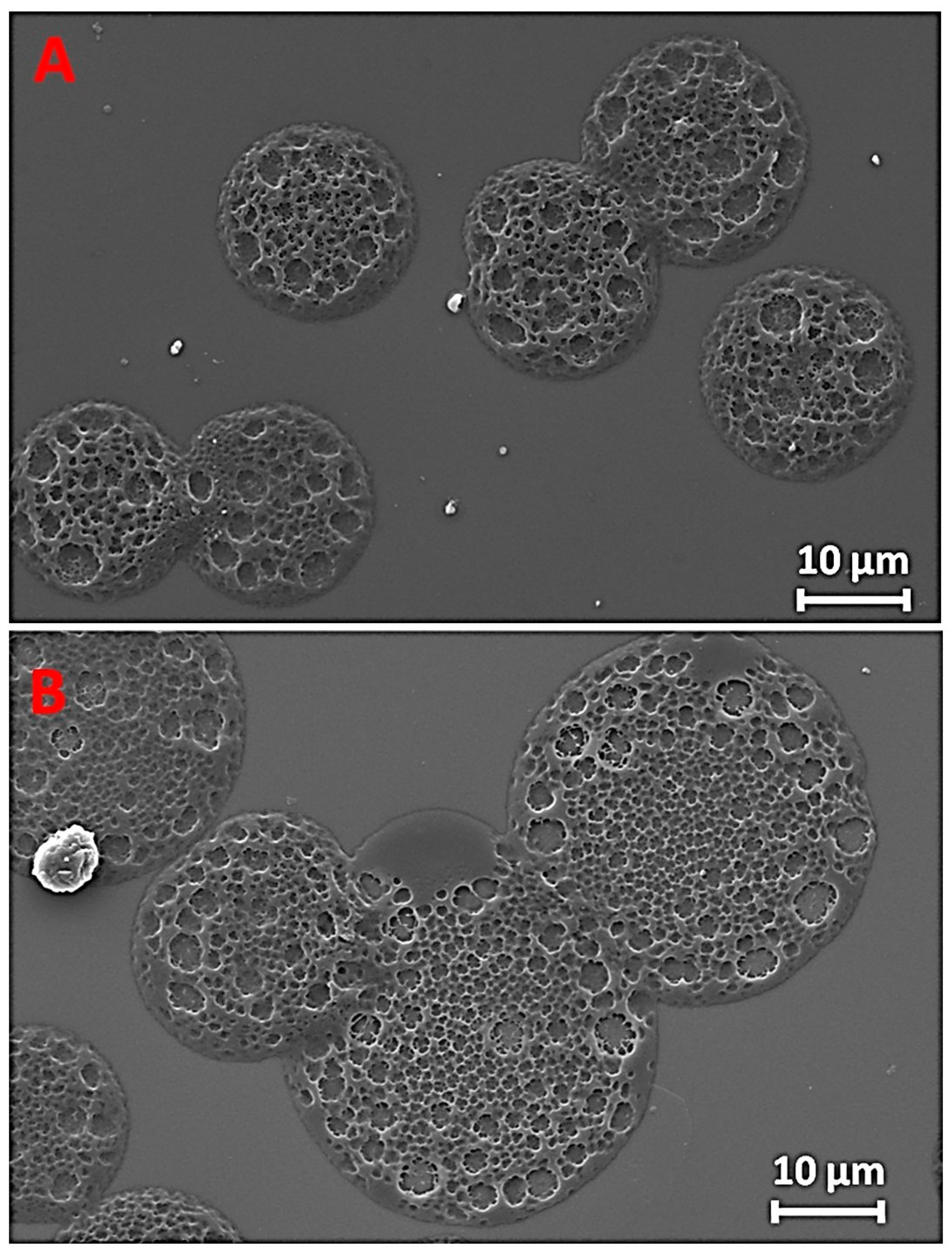 Applsci 11 05090 g002