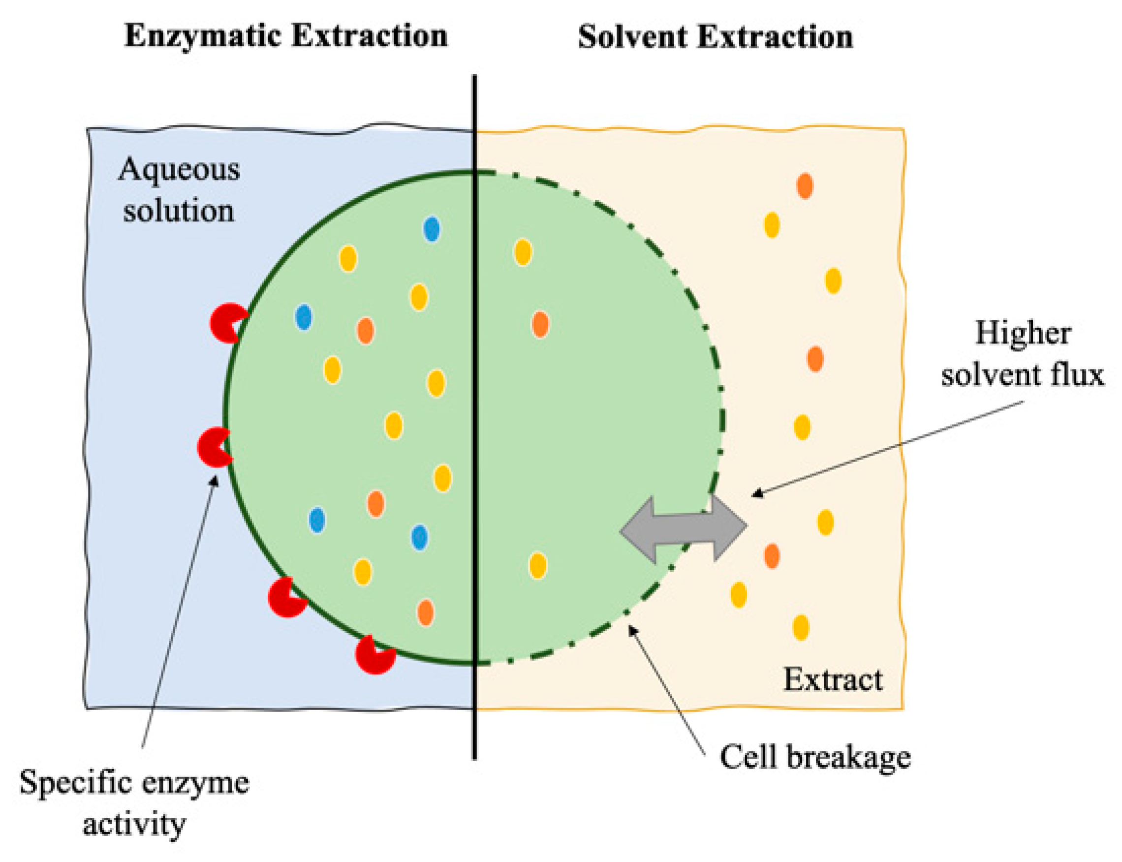 Applsci 11 05187 g002 Applsci 11 05187 g002