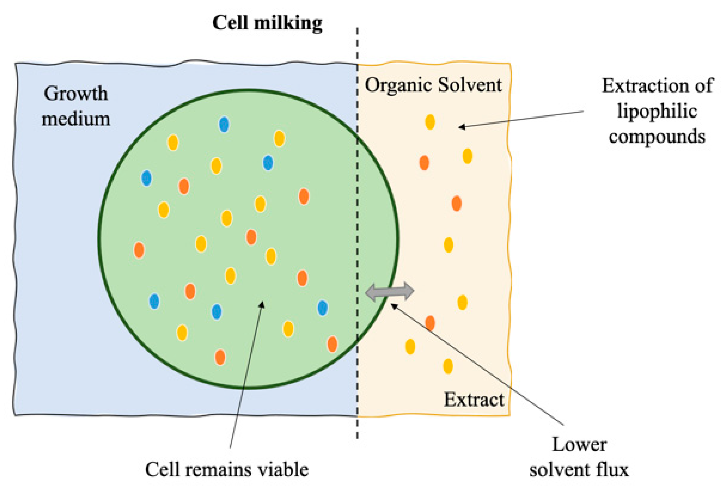 Applsci 11 05187 g007 Applsci 11 05187 g007